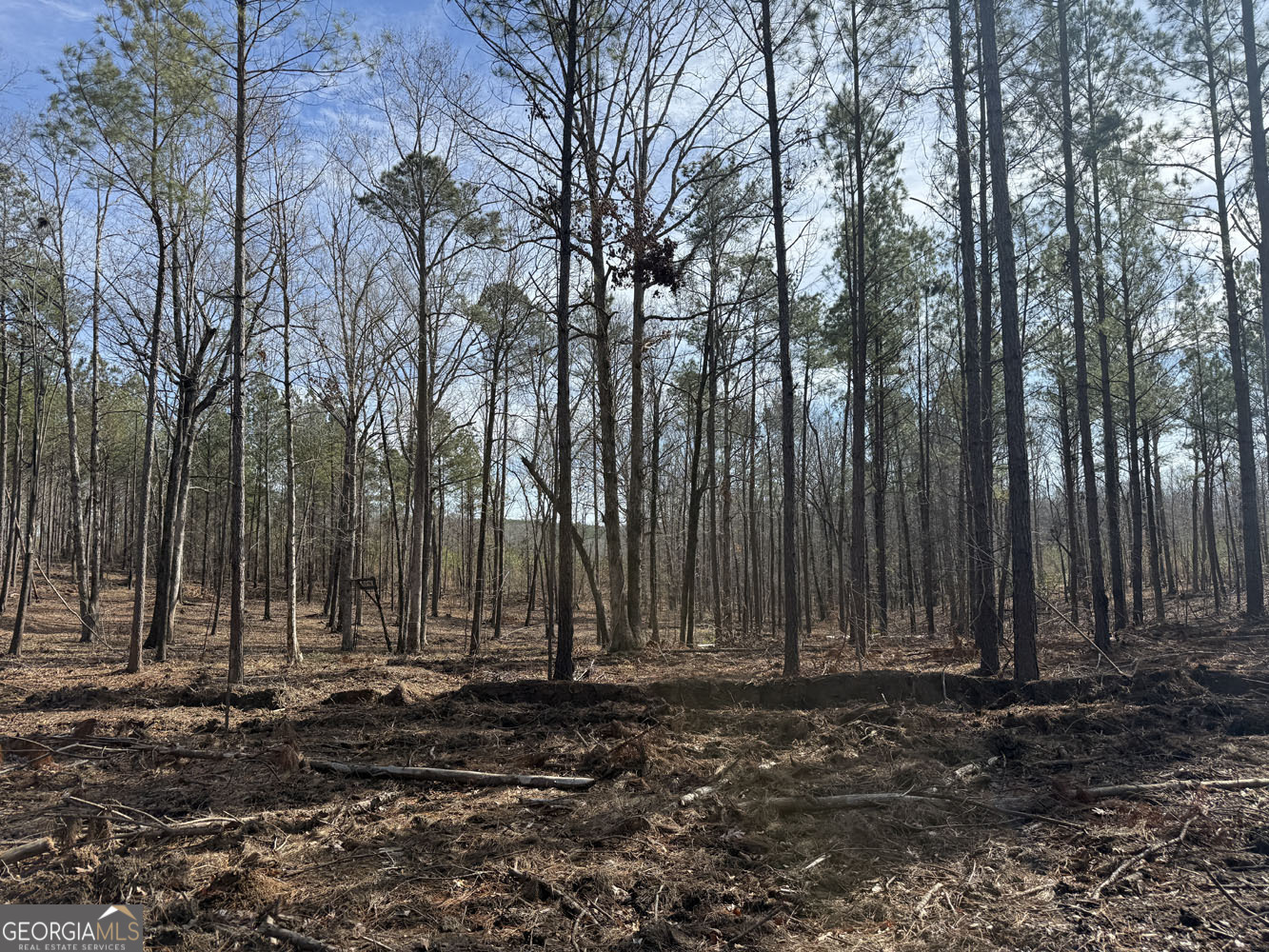 Truslow South Durham Mill Road Jeffersonville GA 31044
