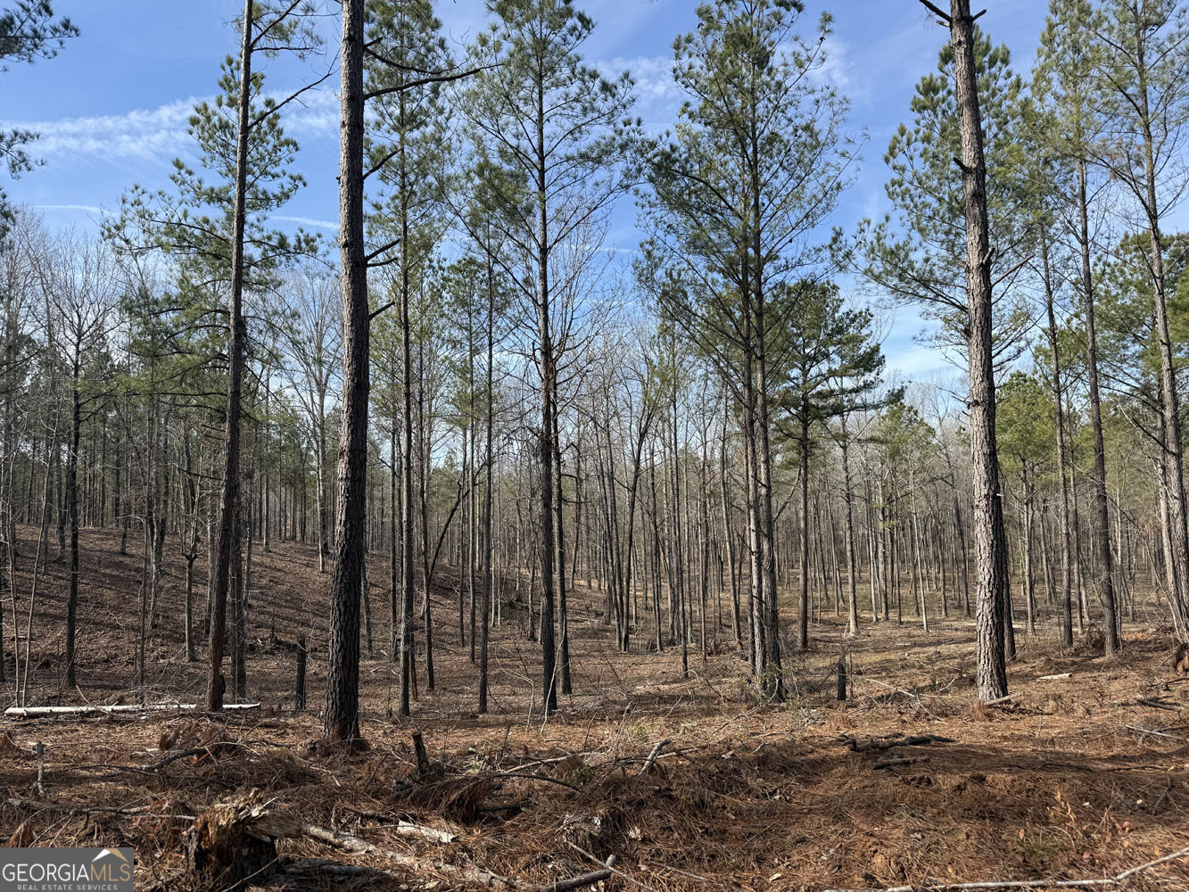 Truslow South Durham Mill Road Jeffersonville GA 31044