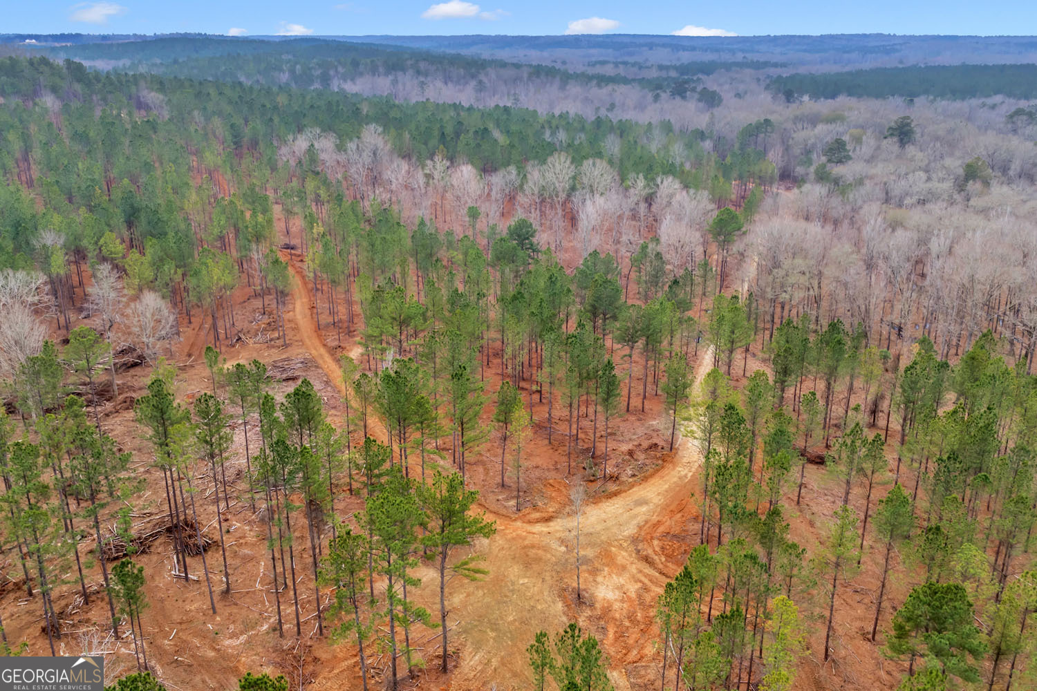 Truslow South Durham Mill Road Jeffersonville GA 31044