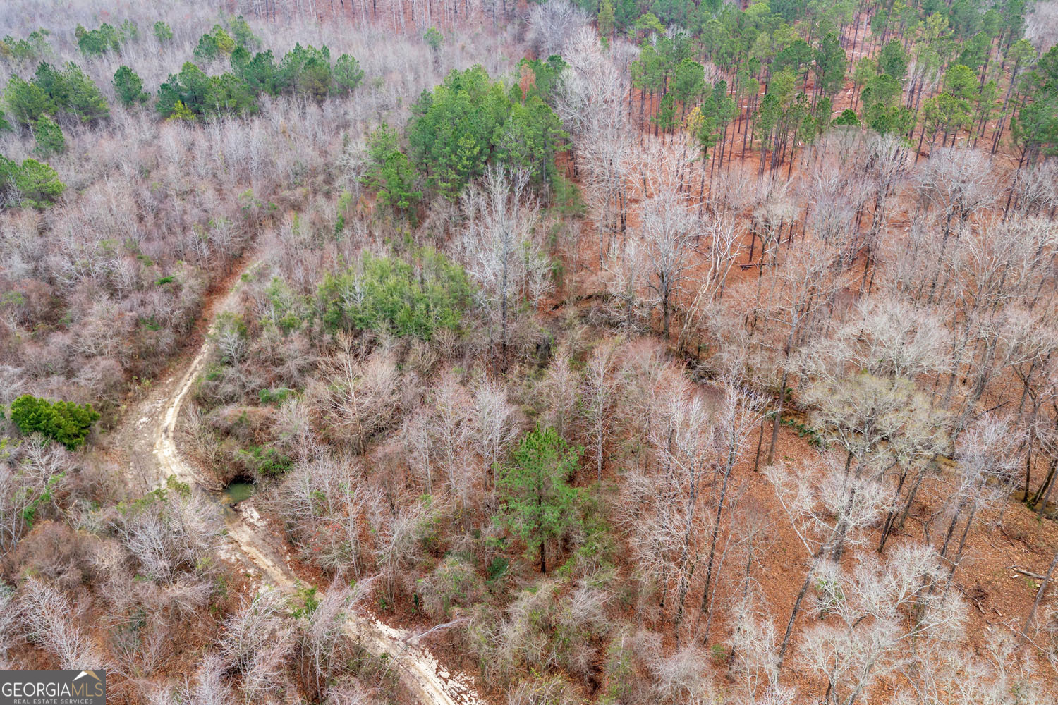 Truslow South Durham Mill Road Jeffersonville GA 31044