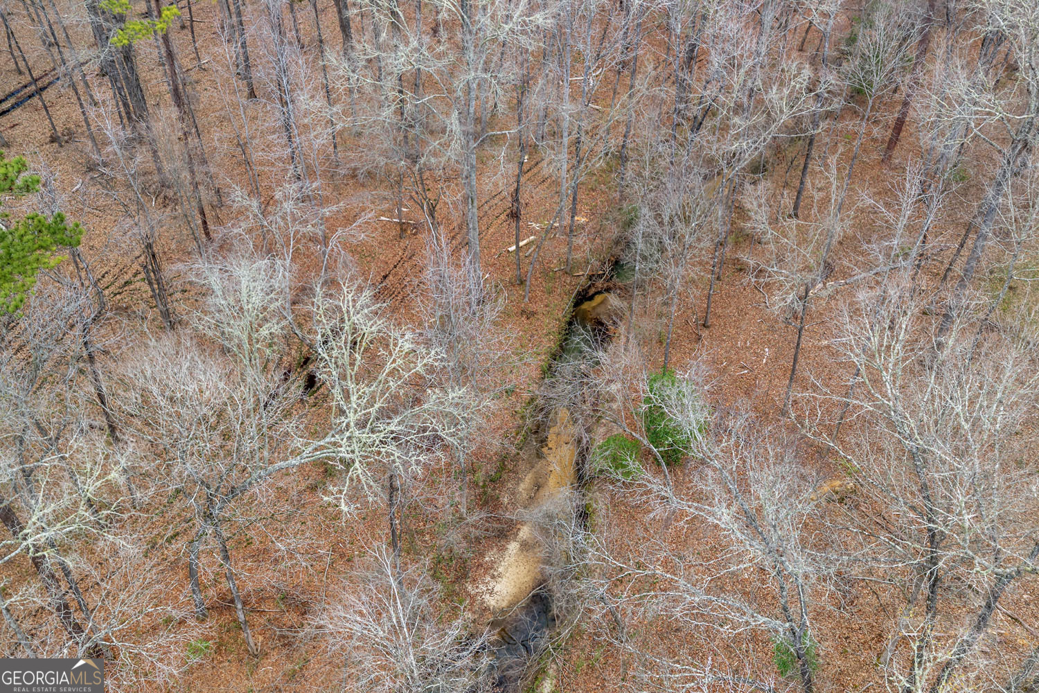 Truslow South Durham Mill Road Jeffersonville GA 31044