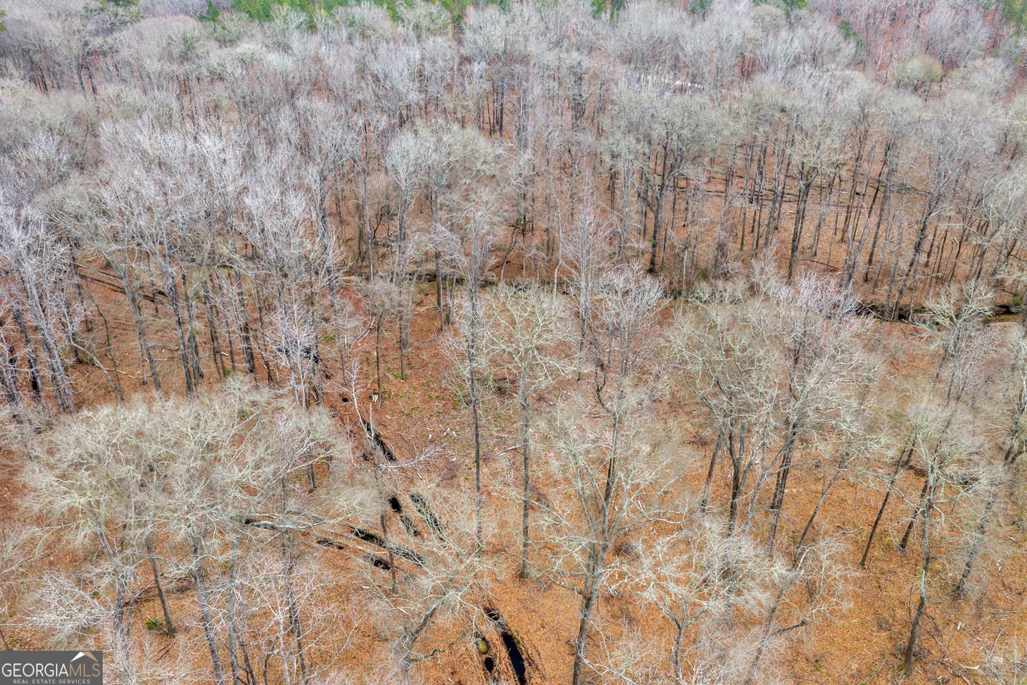 Truslow South Durham Mill Road Jeffersonville GA 31044