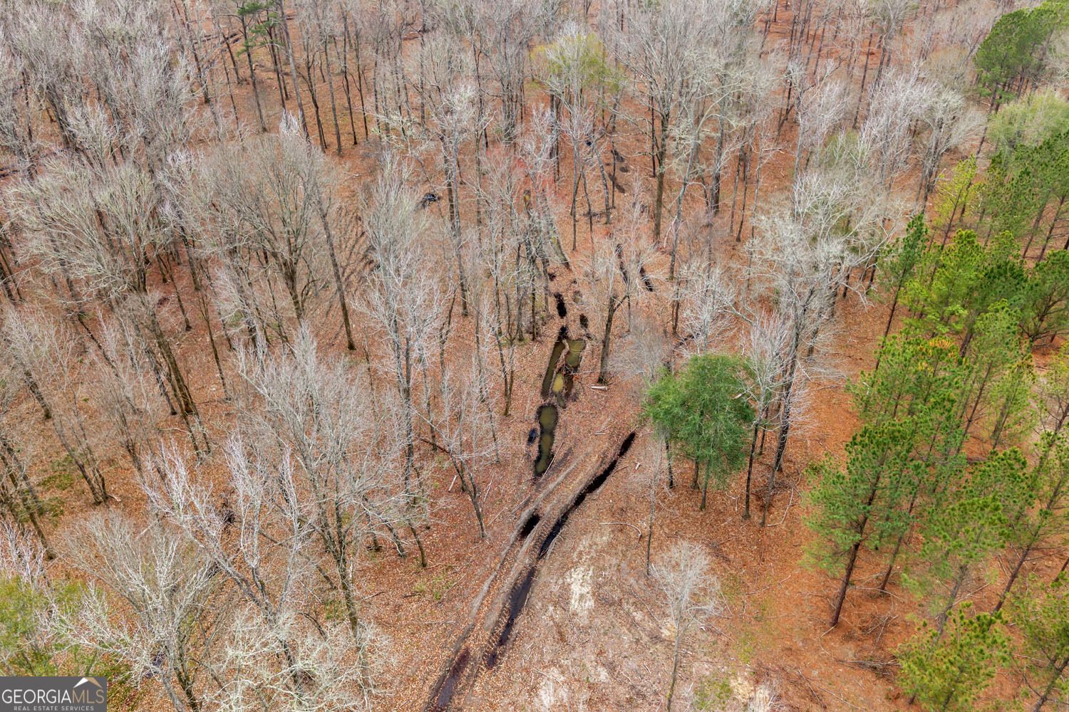 Truslow South Durham Mill Road Jeffersonville GA 31044