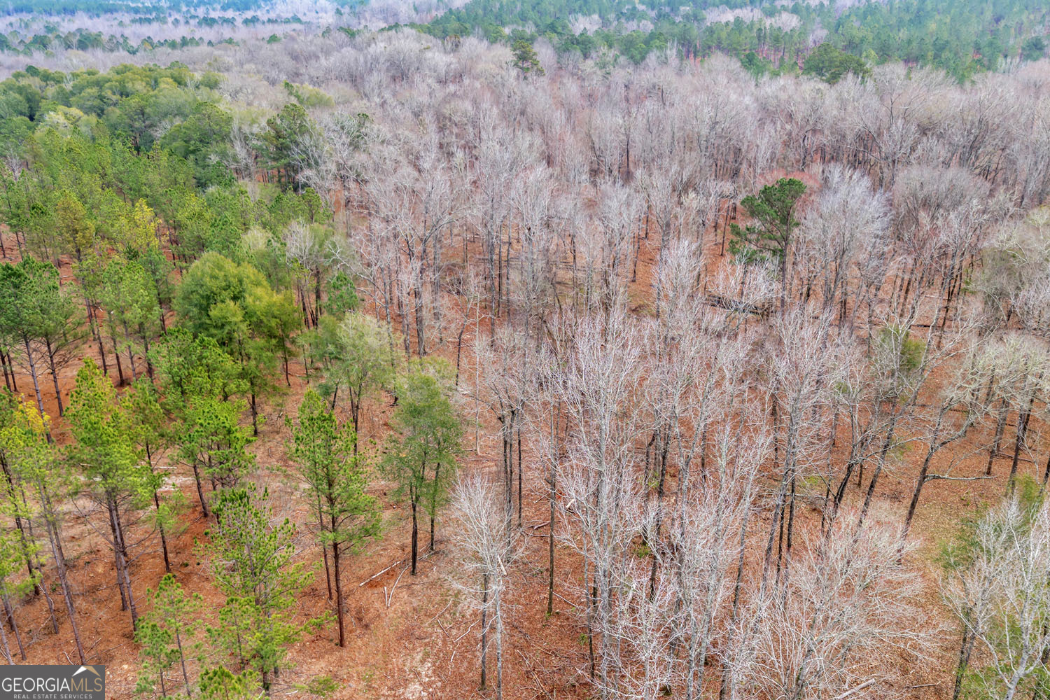 Truslow South Durham Mill Road Jeffersonville GA 31044