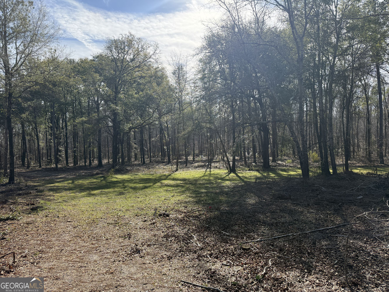 Truslow South Durham Mill Road Jeffersonville GA 31044