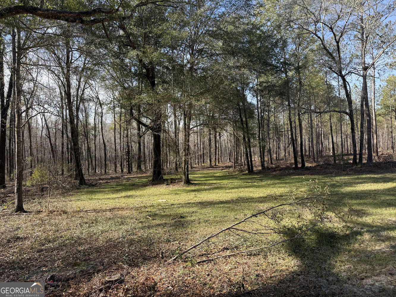 Truslow South Durham Mill Road Jeffersonville GA 31044