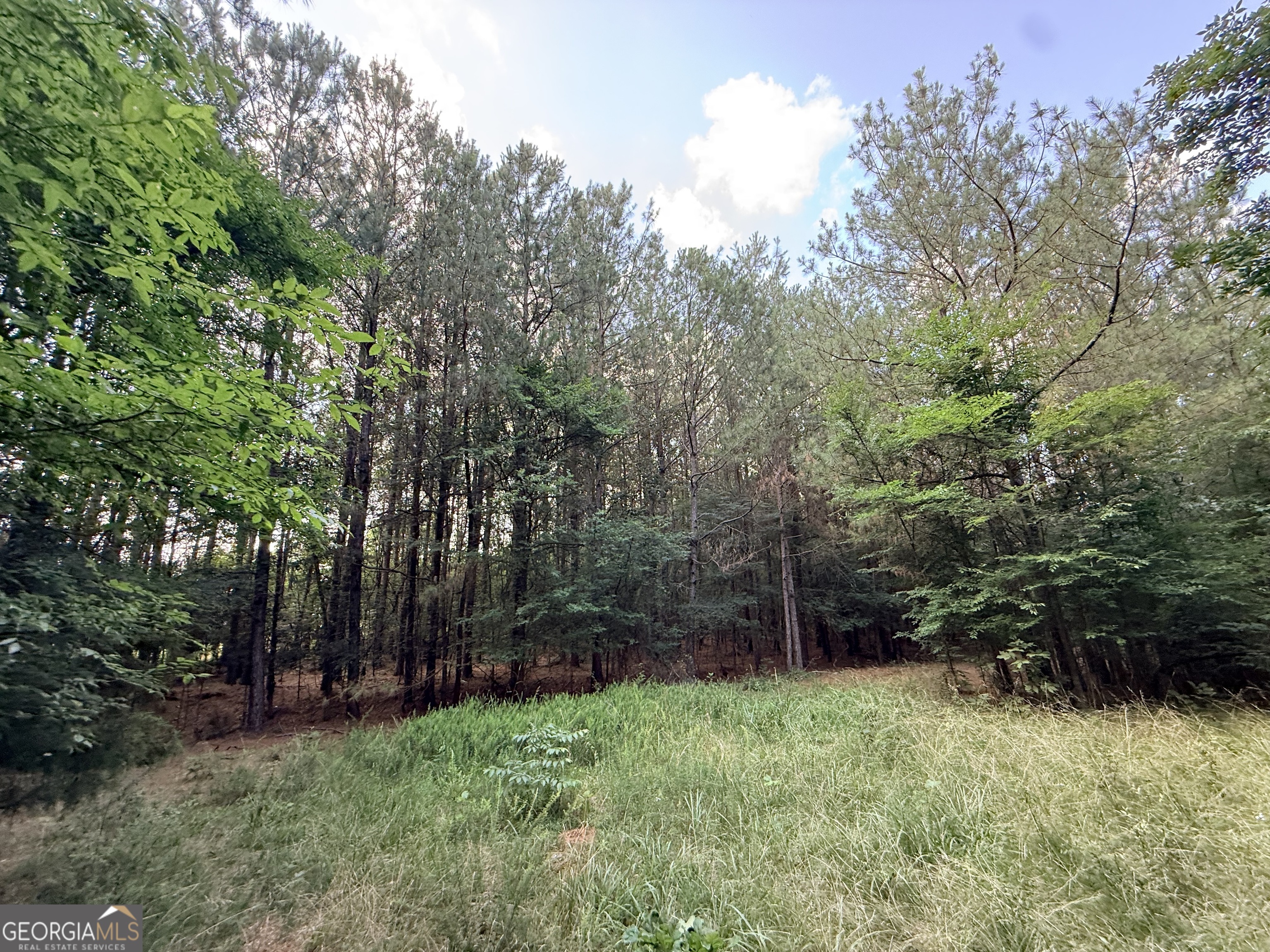 2 Bethesda Church Road Lexington GA 30648