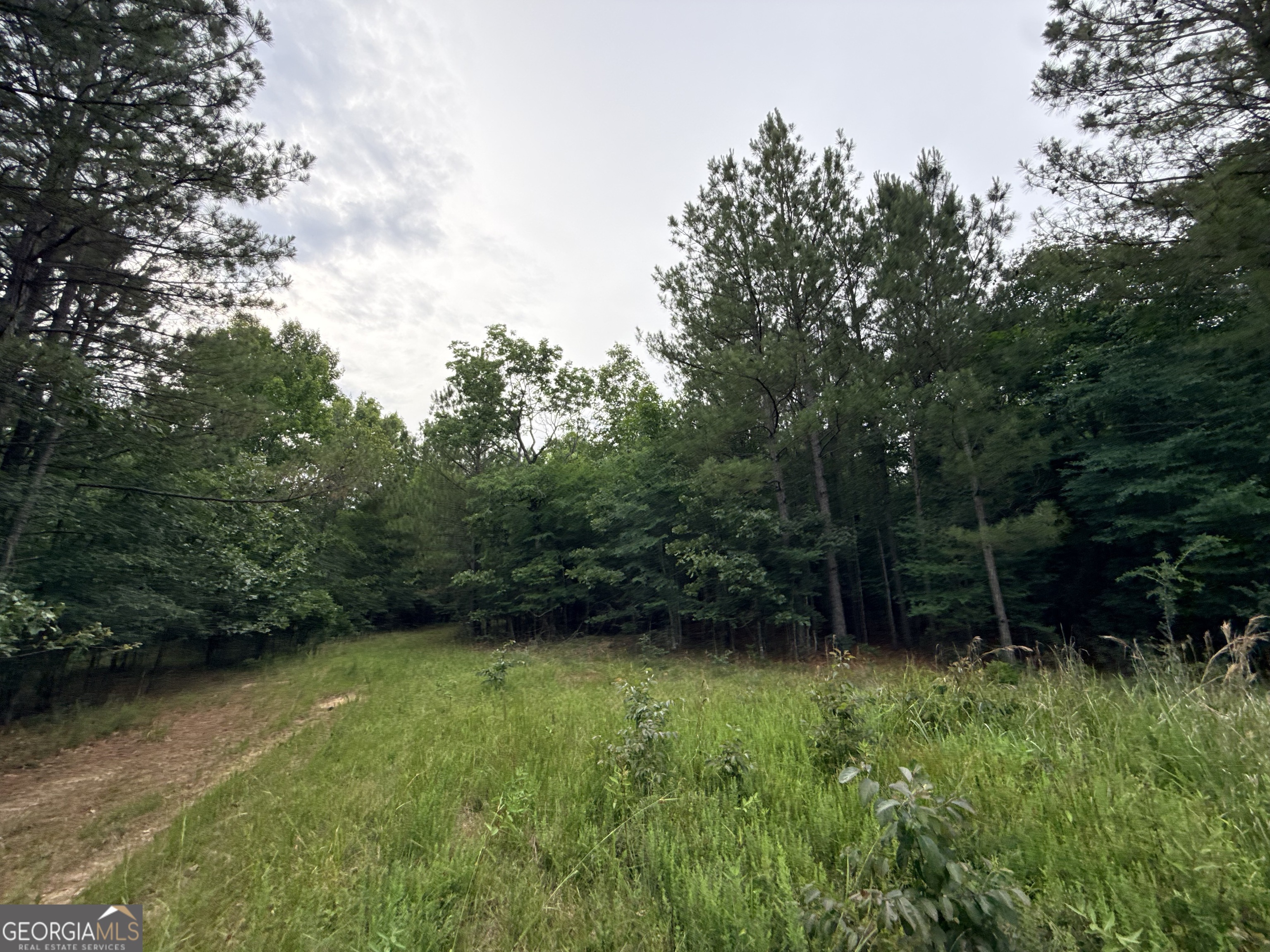 2 Bethesda Church Road Lexington GA 30648