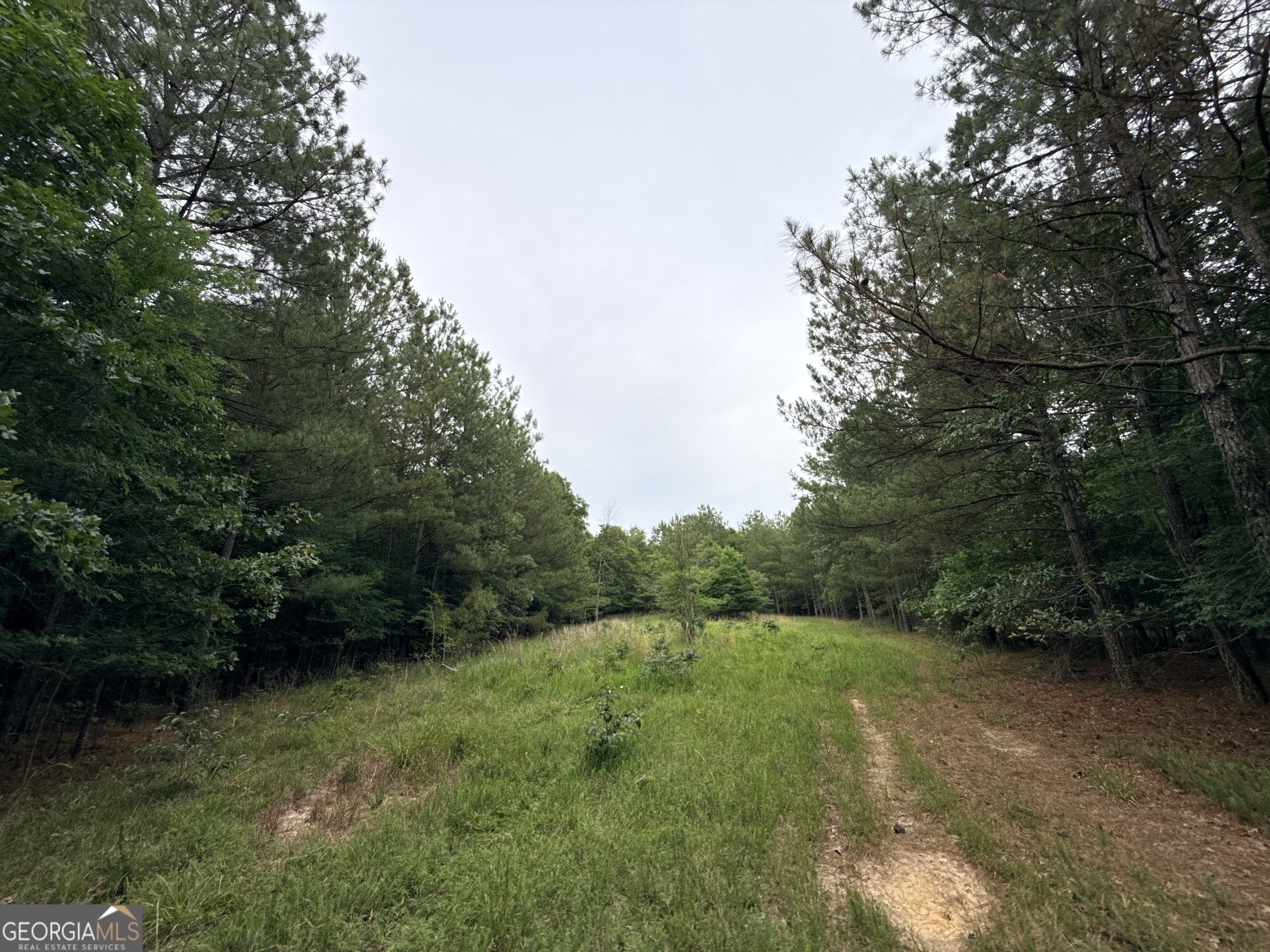 2 Bethesda Church Road Lexington GA 30648