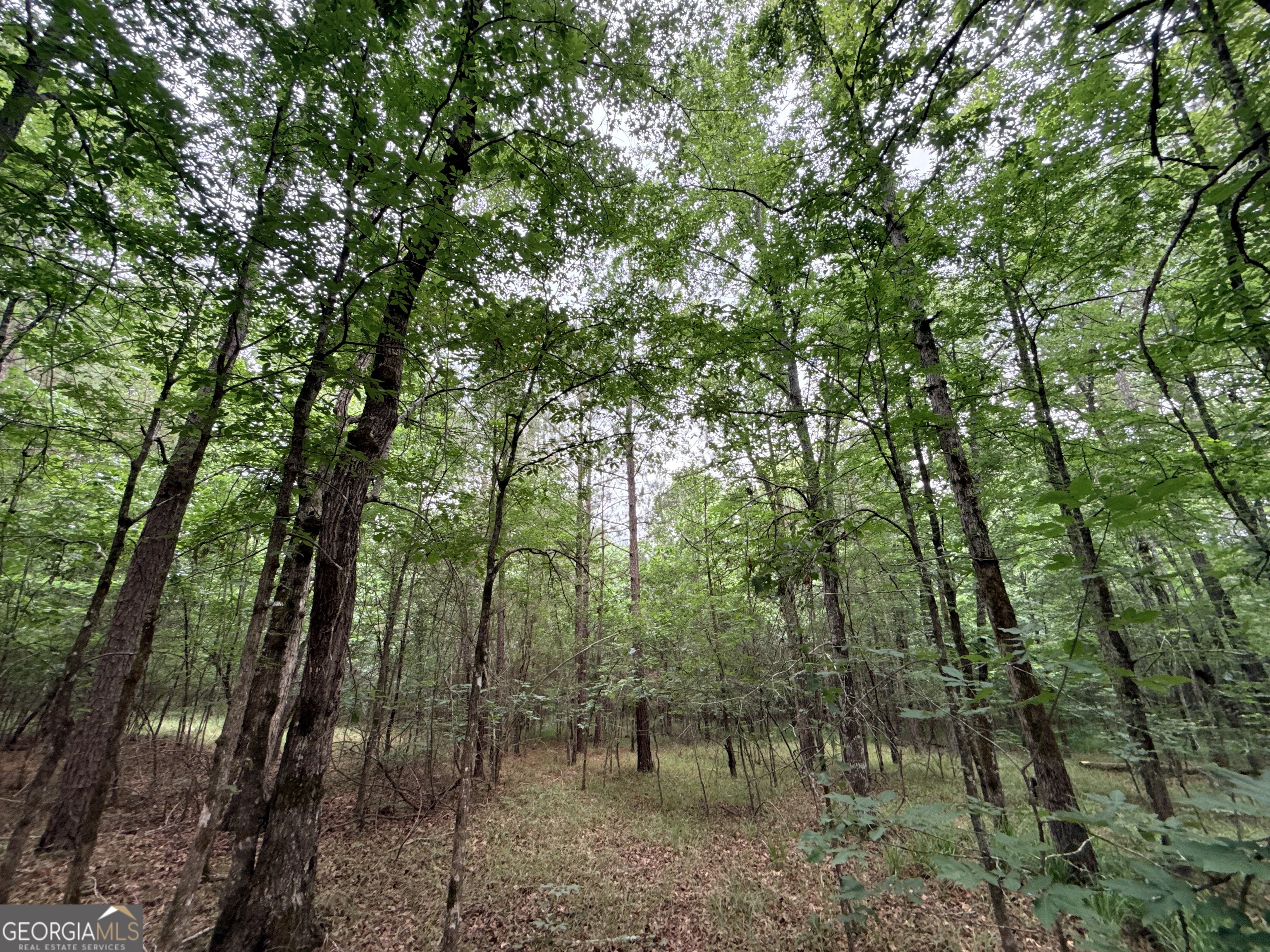 2 Bethesda Church Road Lexington GA 30648