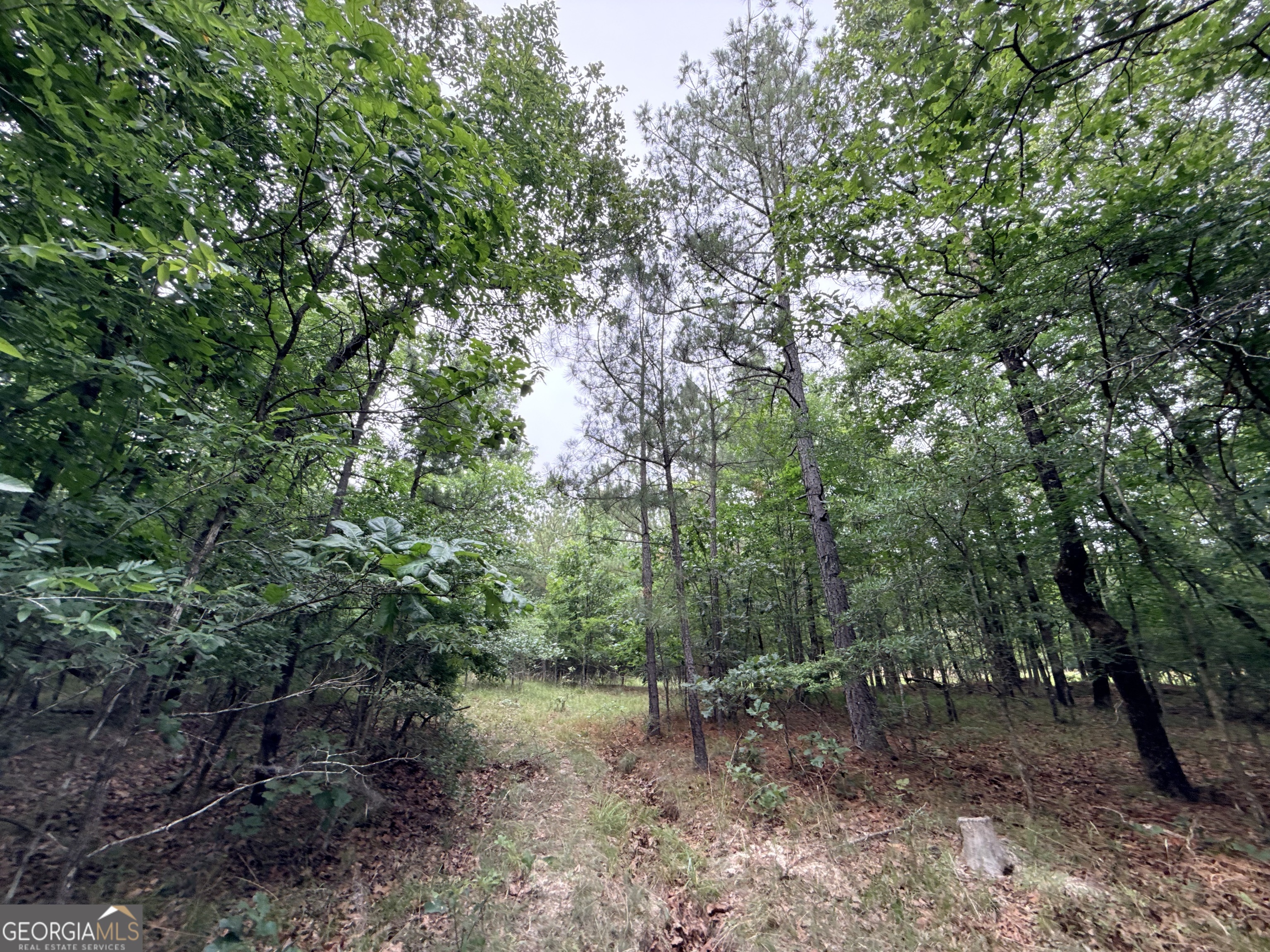 2 Bethesda Church Road Lexington GA 30648