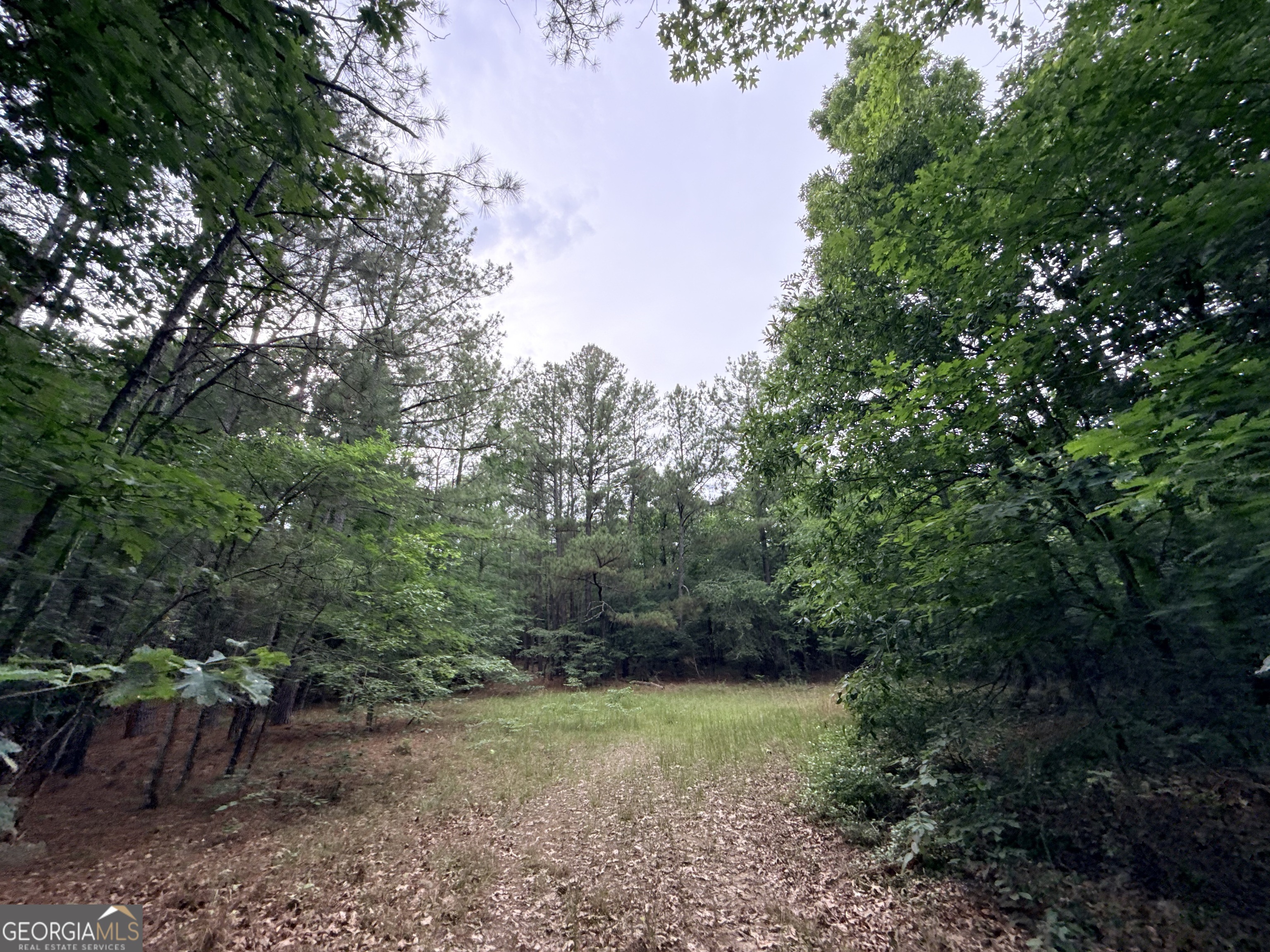 2 Bethesda Church Road Lexington GA 30648