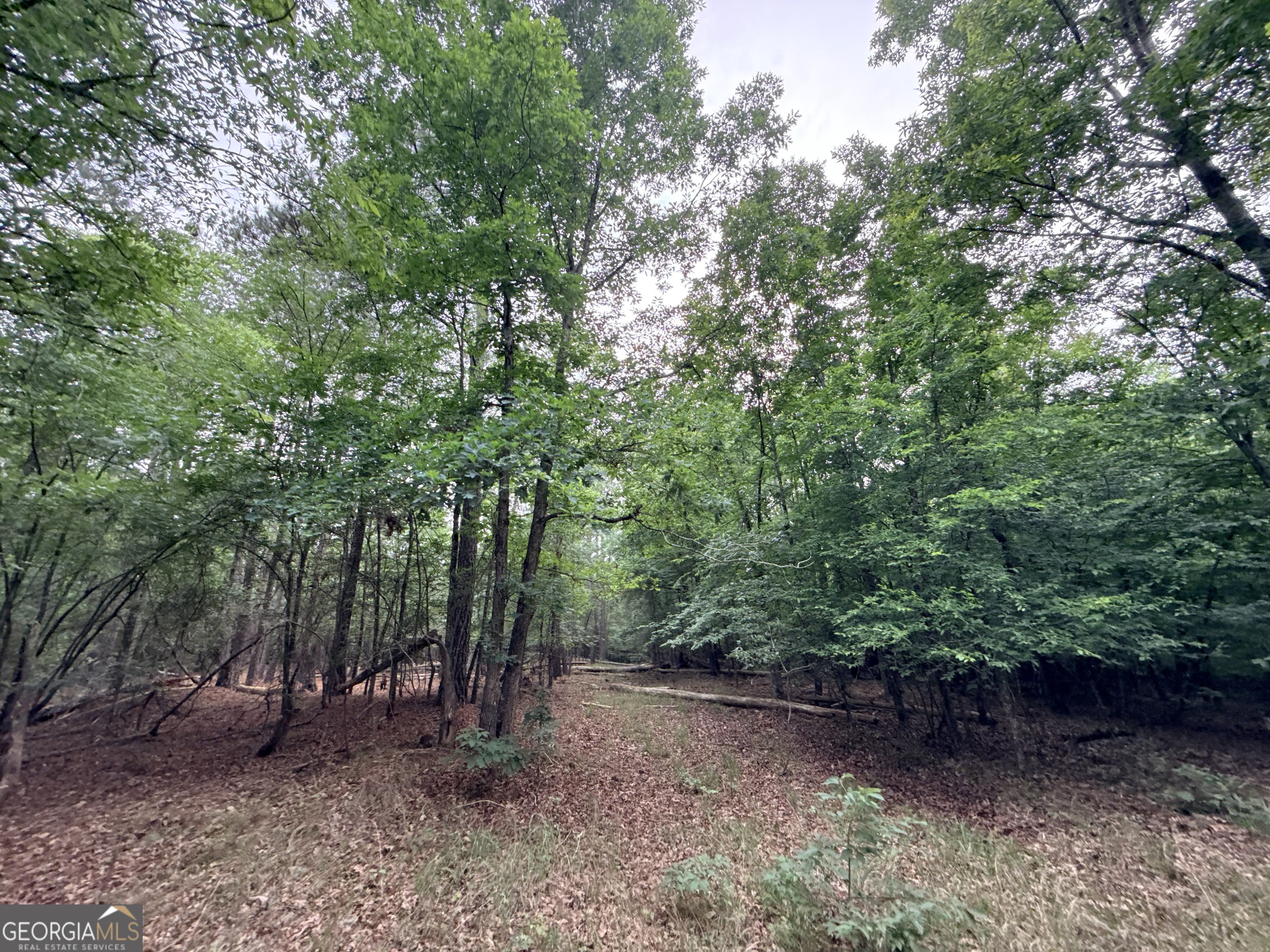 2 Bethesda Church Road Lexington GA 30648