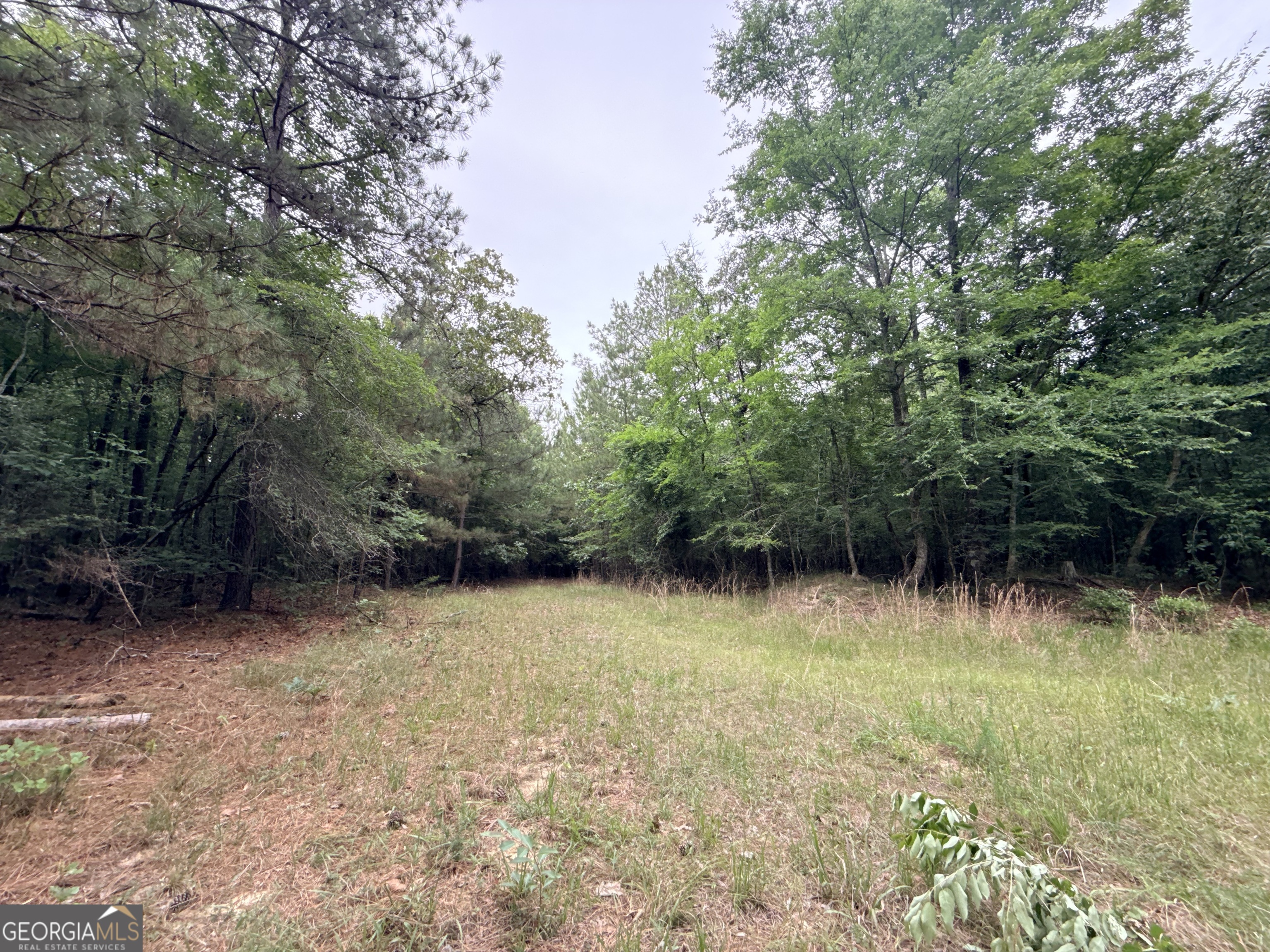2 Bethesda Church Road Lexington GA 30648