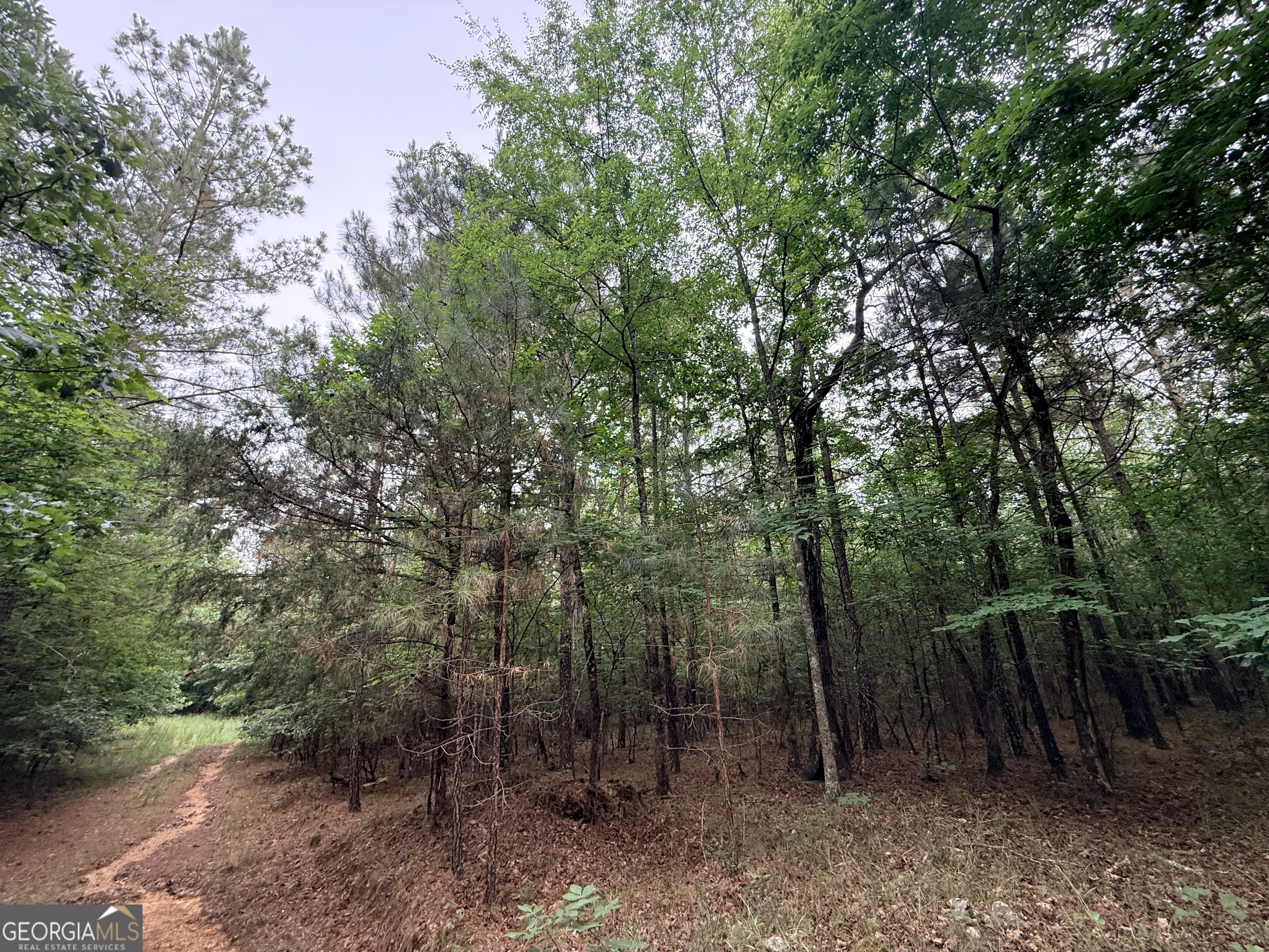 2 Bethesda Church Road Lexington GA 30648