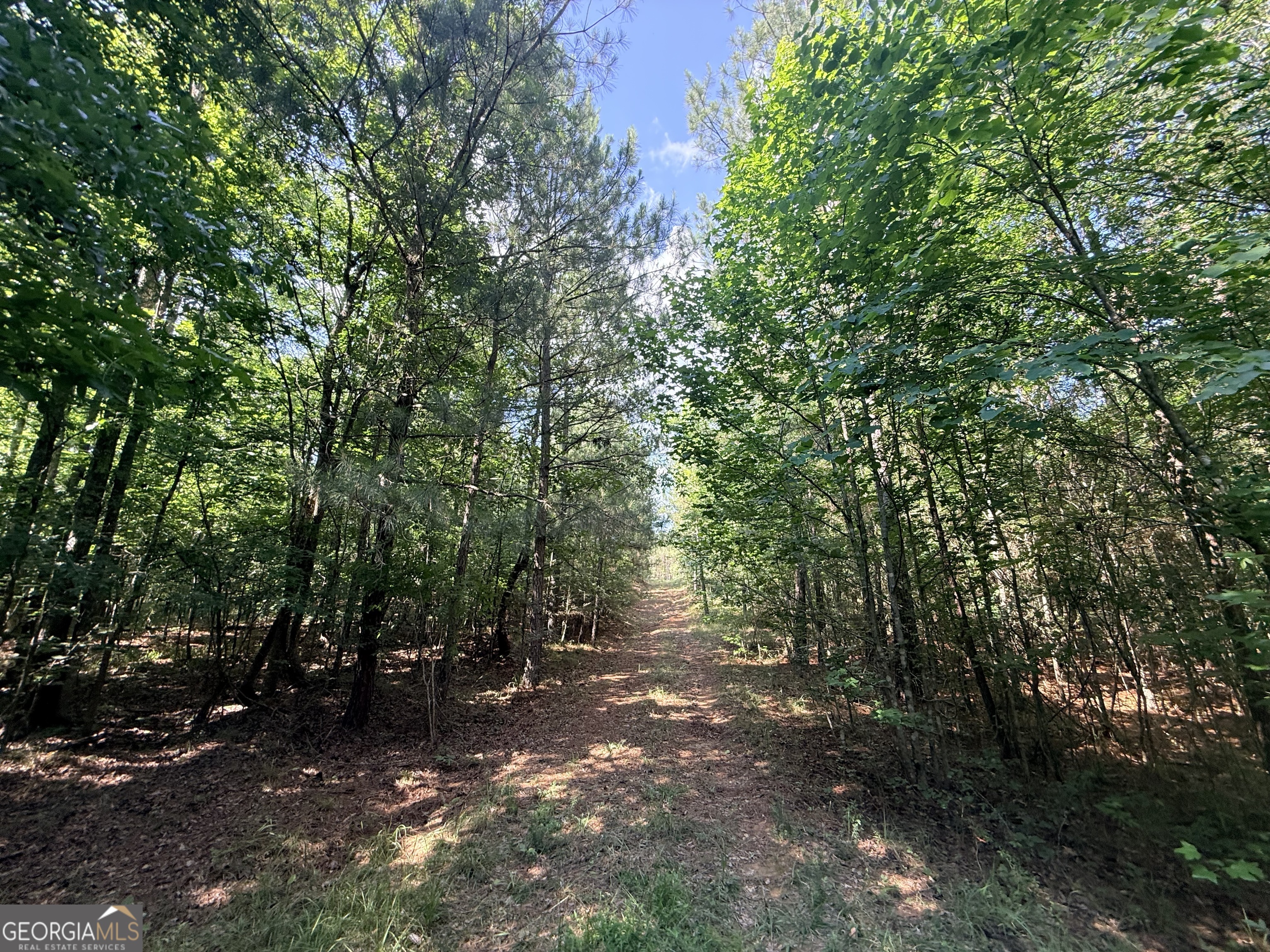 2 Bethesda Church Road Lexington GA 30648