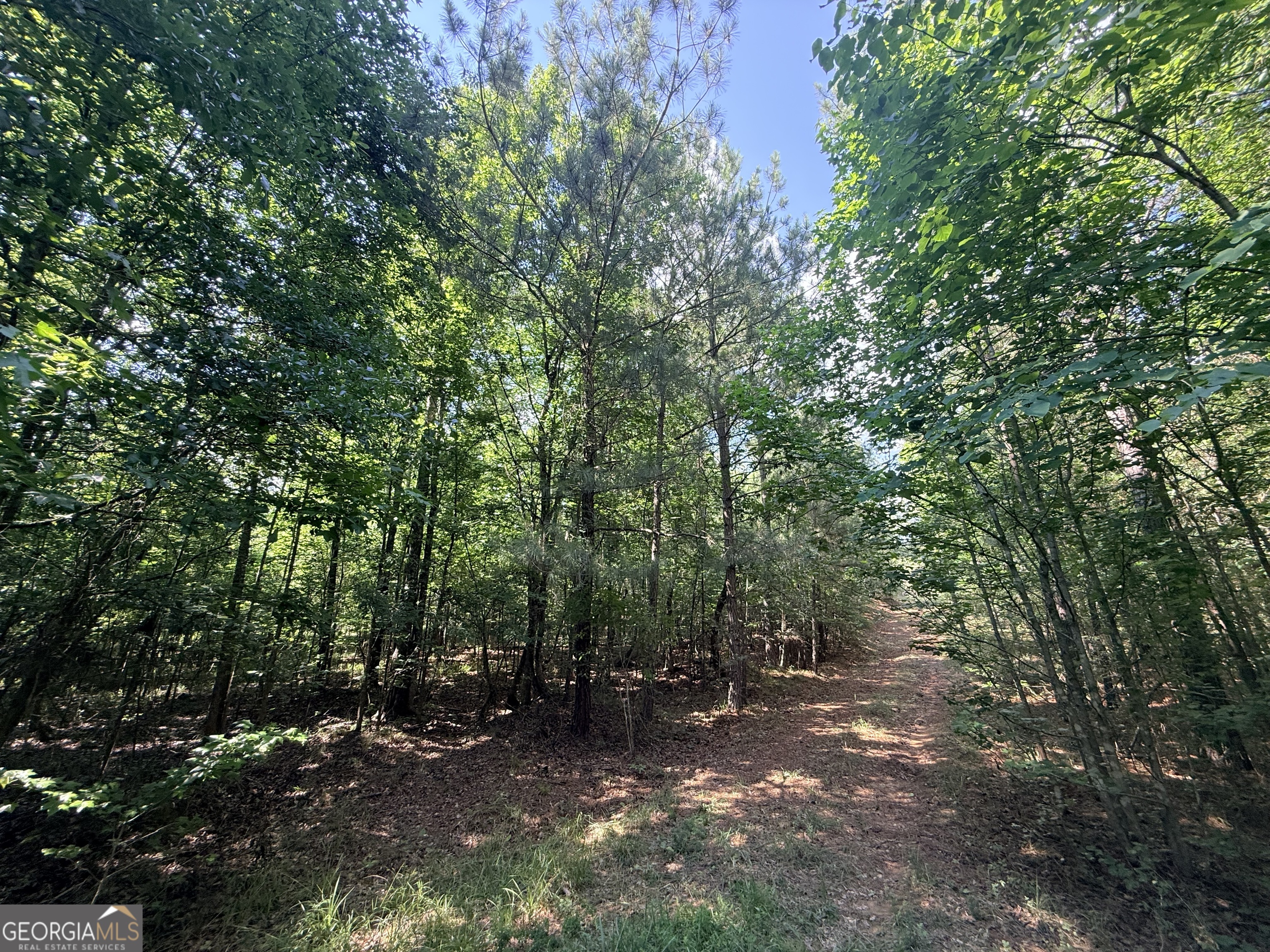 2 Bethesda Church Road Lexington GA 30648