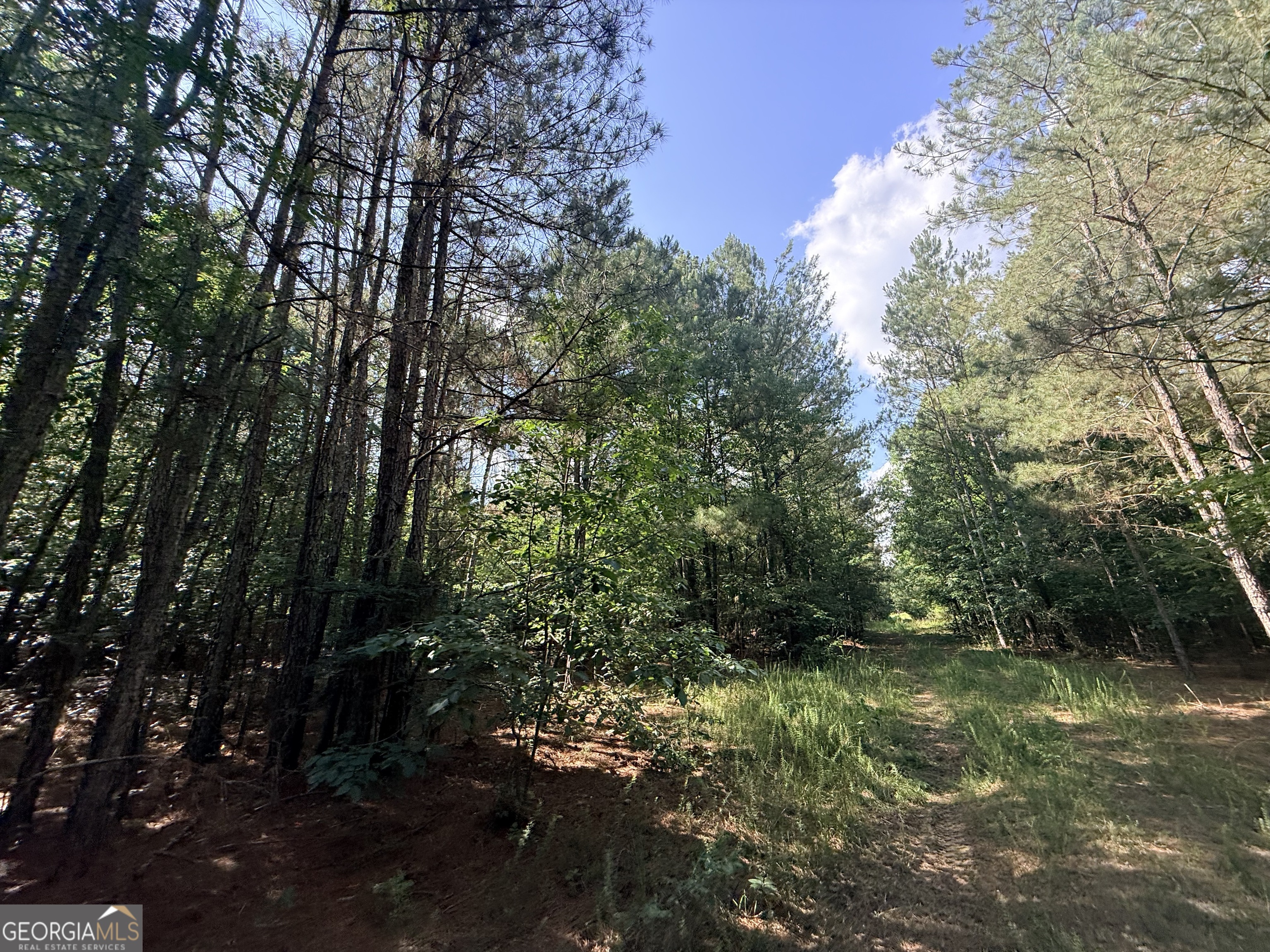 2 Bethesda Church Road Lexington GA 30648