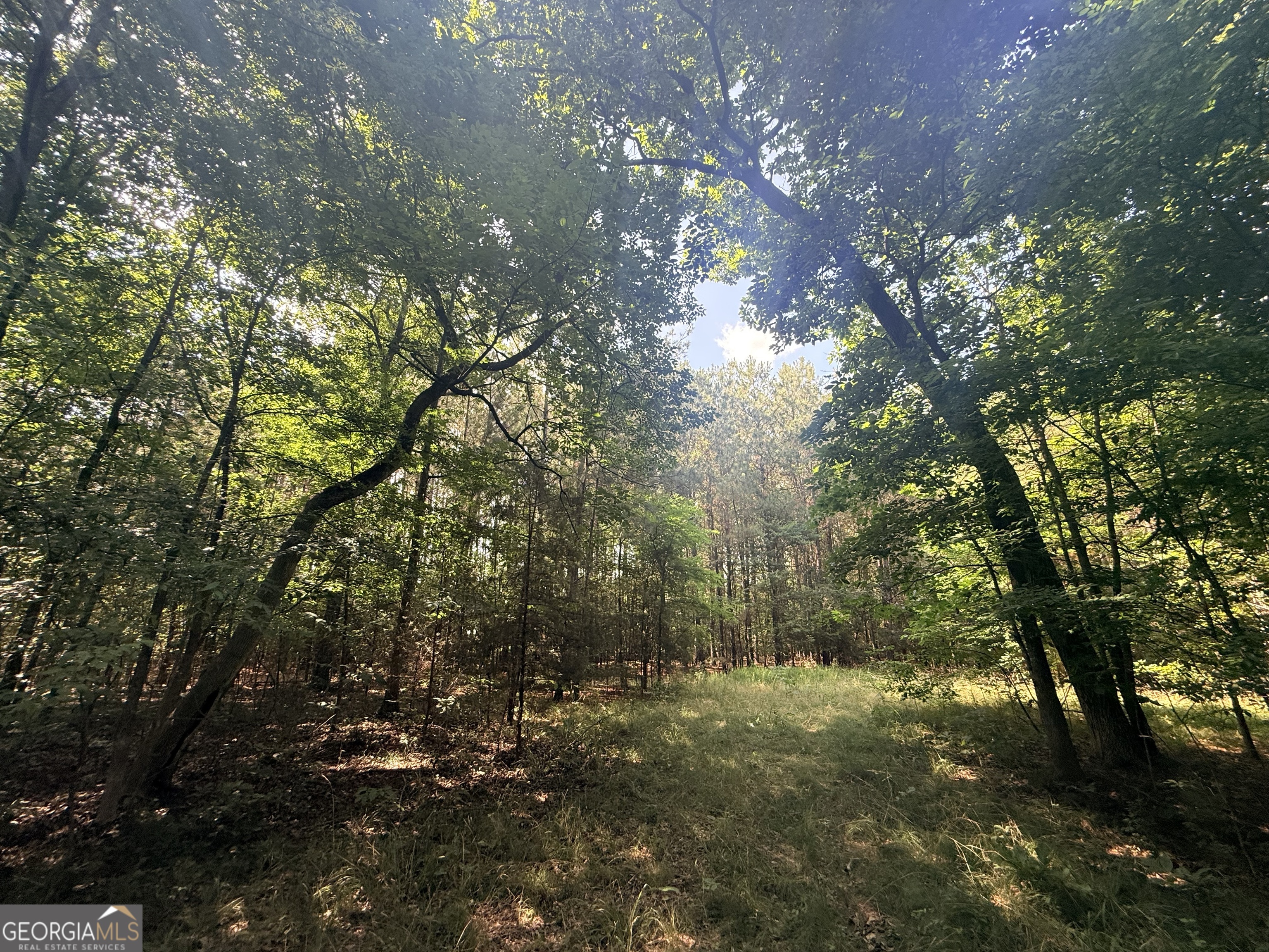 2 Bethesda Church Road Lexington GA 30648