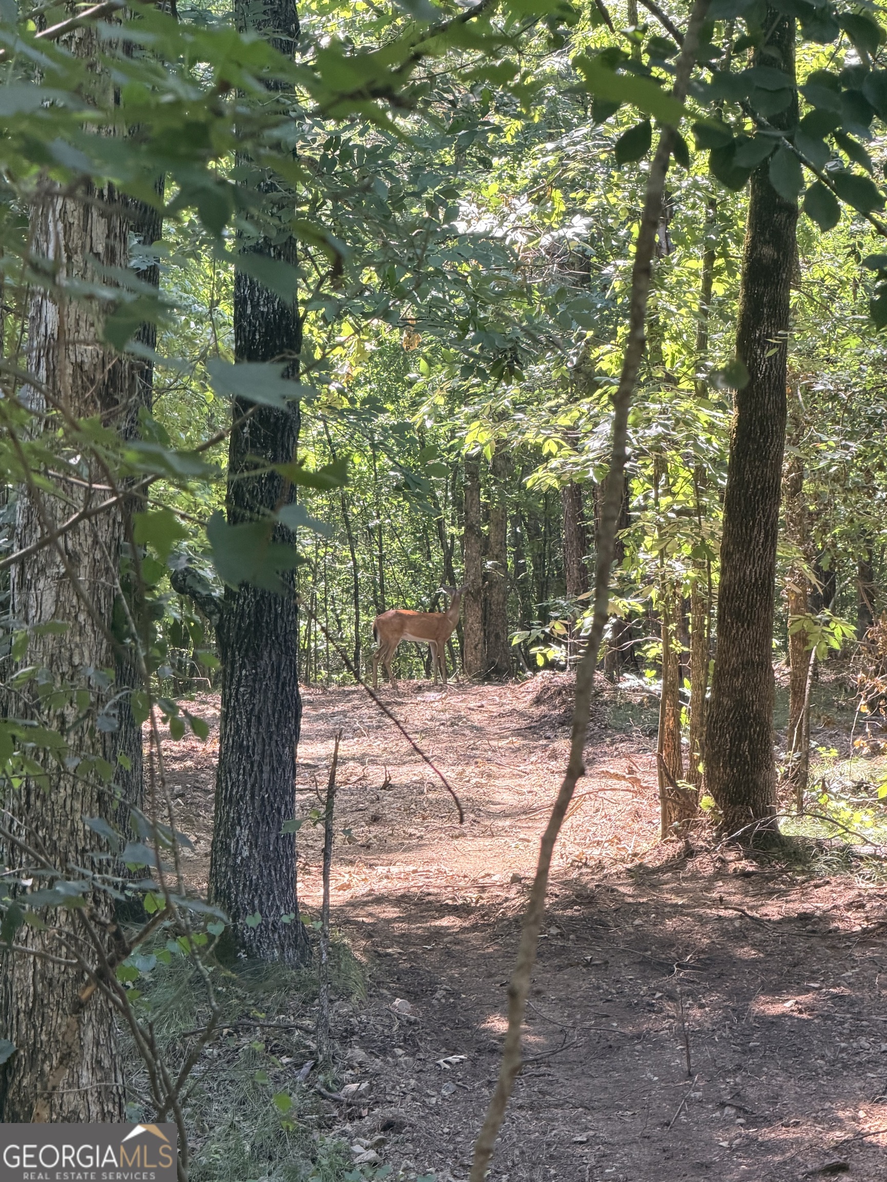 2 Bethesda Church Road Lexington GA 30648