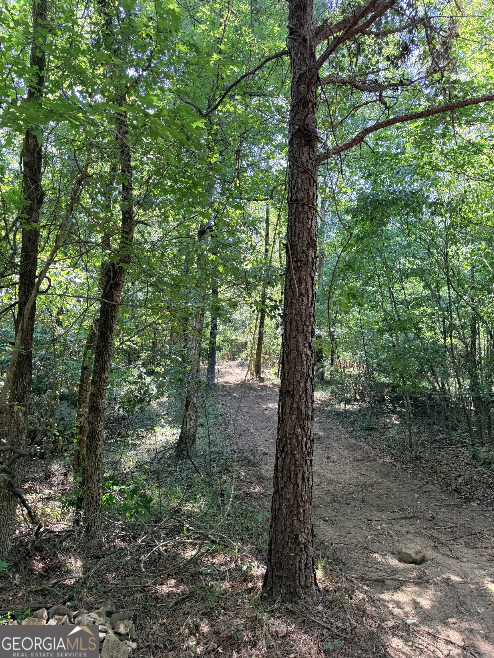 2 Bethesda Church Road Lexington GA 30648
