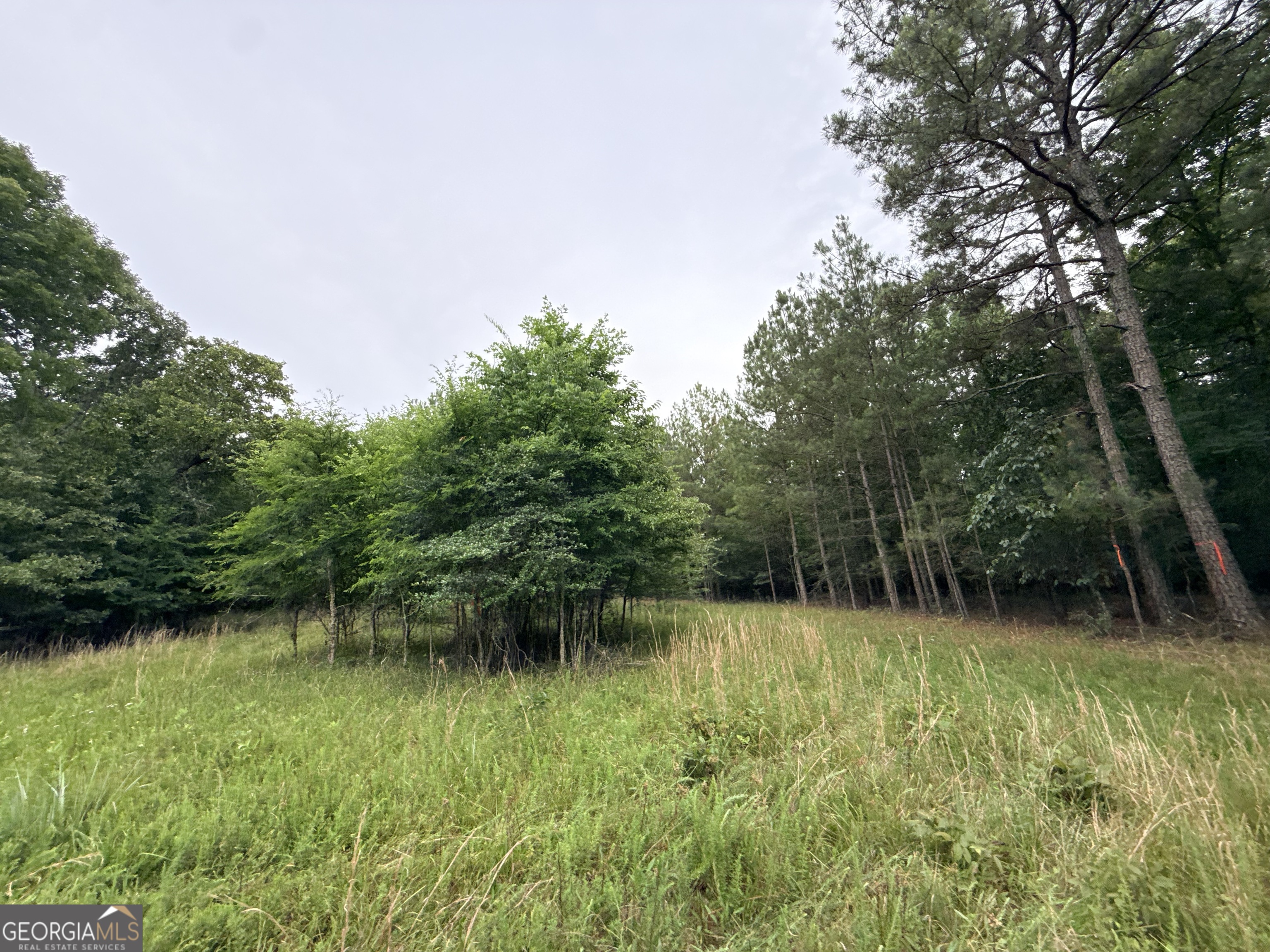 2 Bethesda Church Road Lexington GA 30648