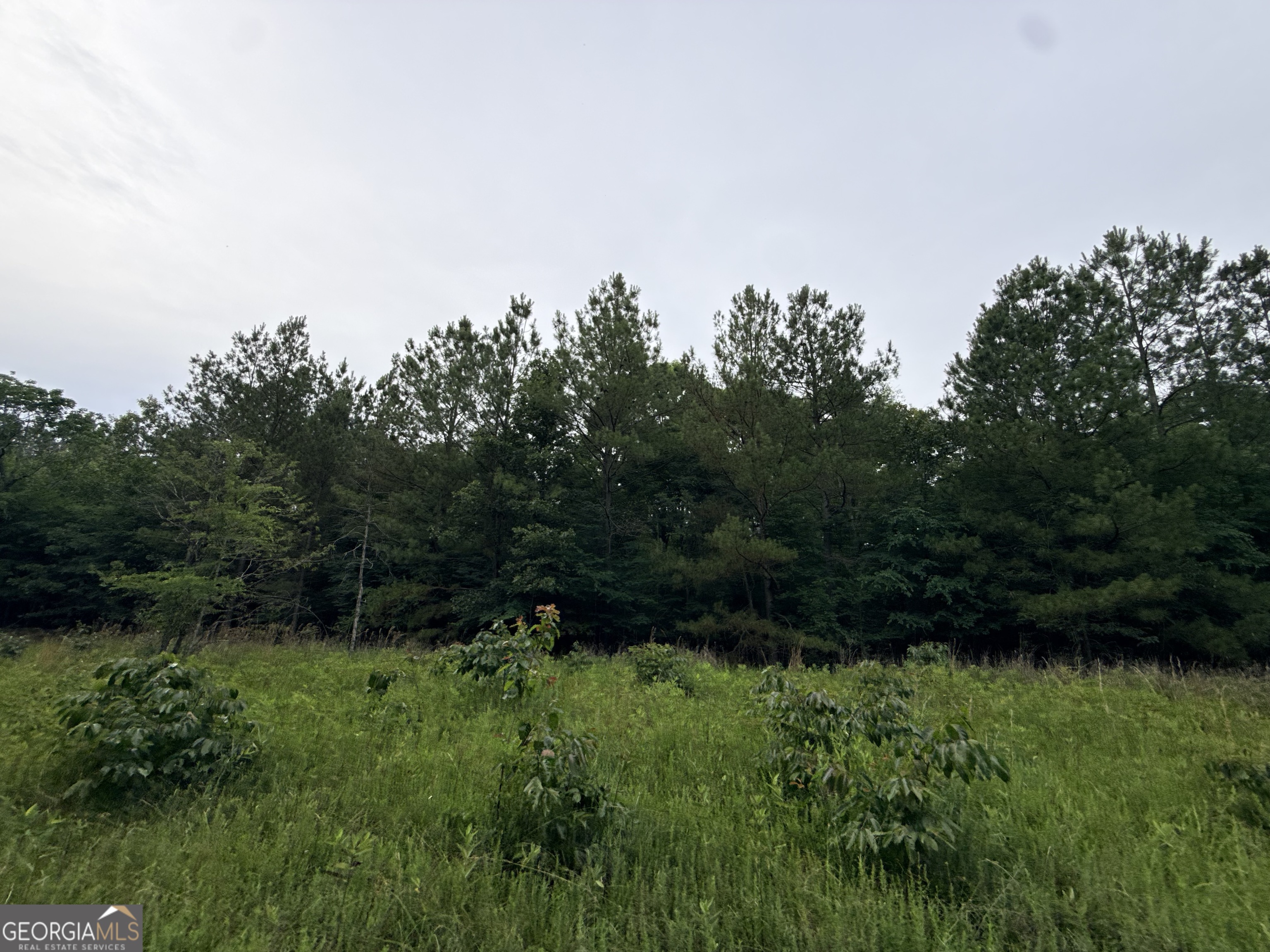 2 Bethesda Church Road Lexington GA 30648