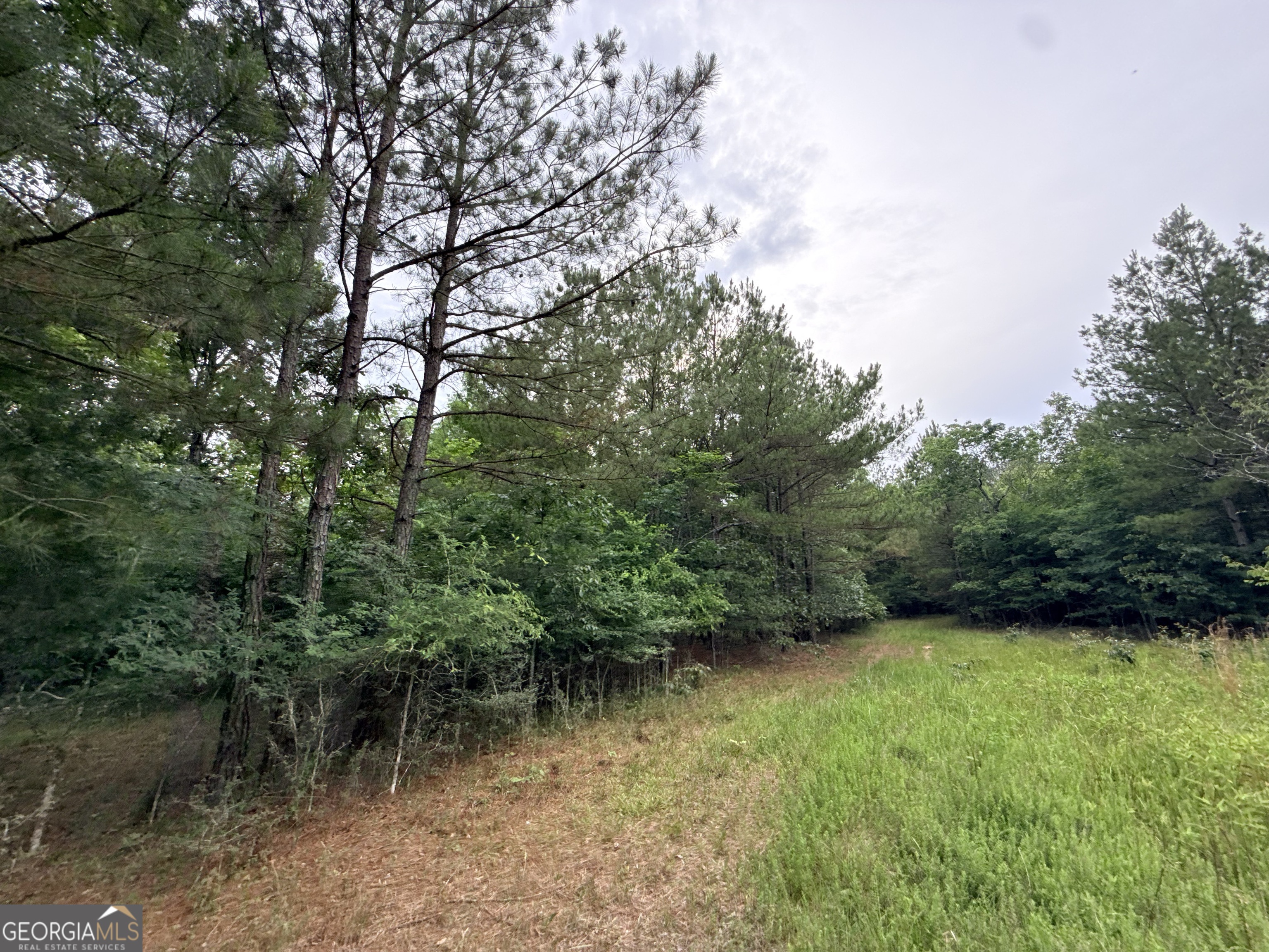 2 Bethesda Church Road Lexington GA 30648