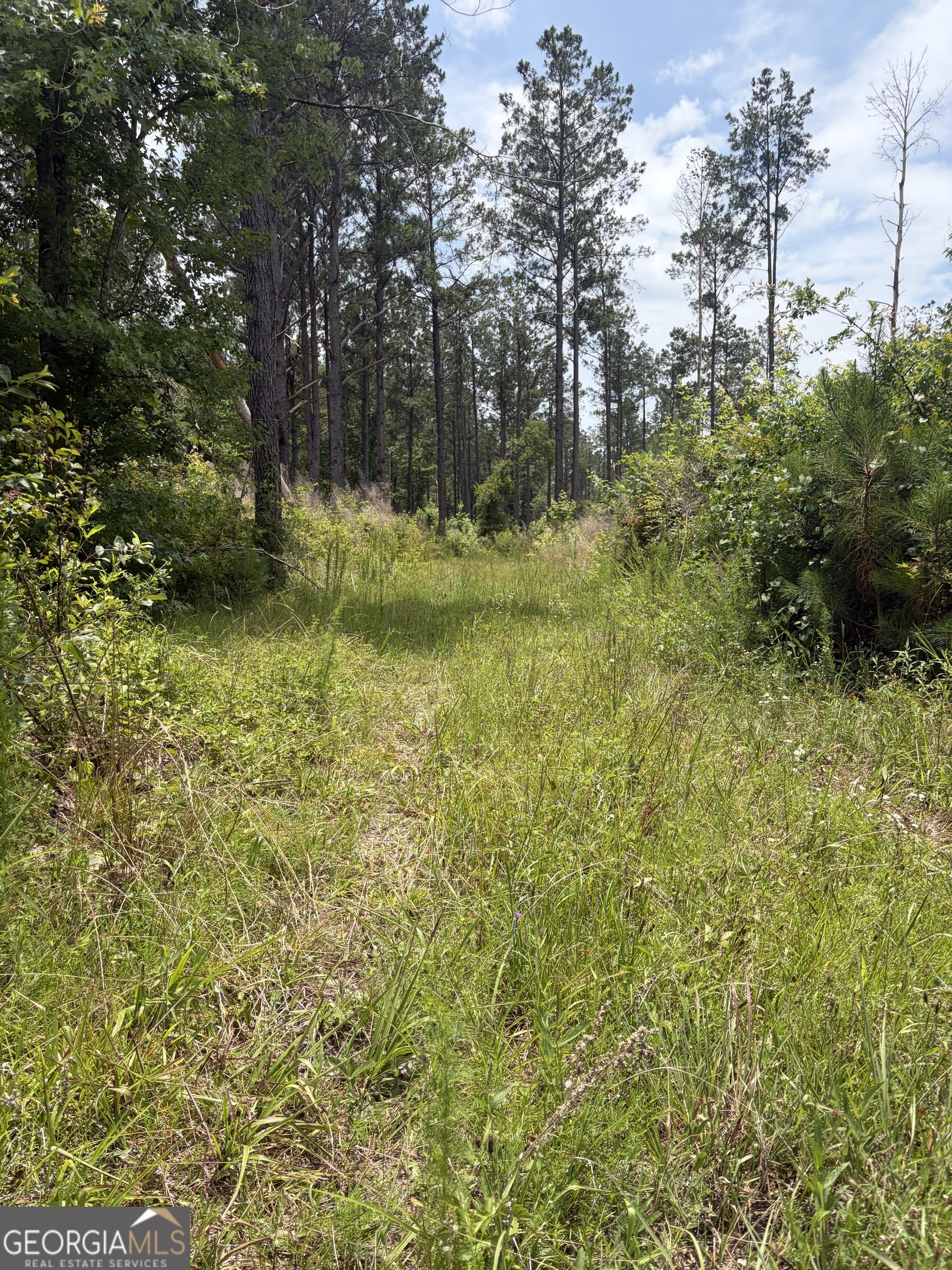9 Sunhill Grange Road Davisboro GA 31018