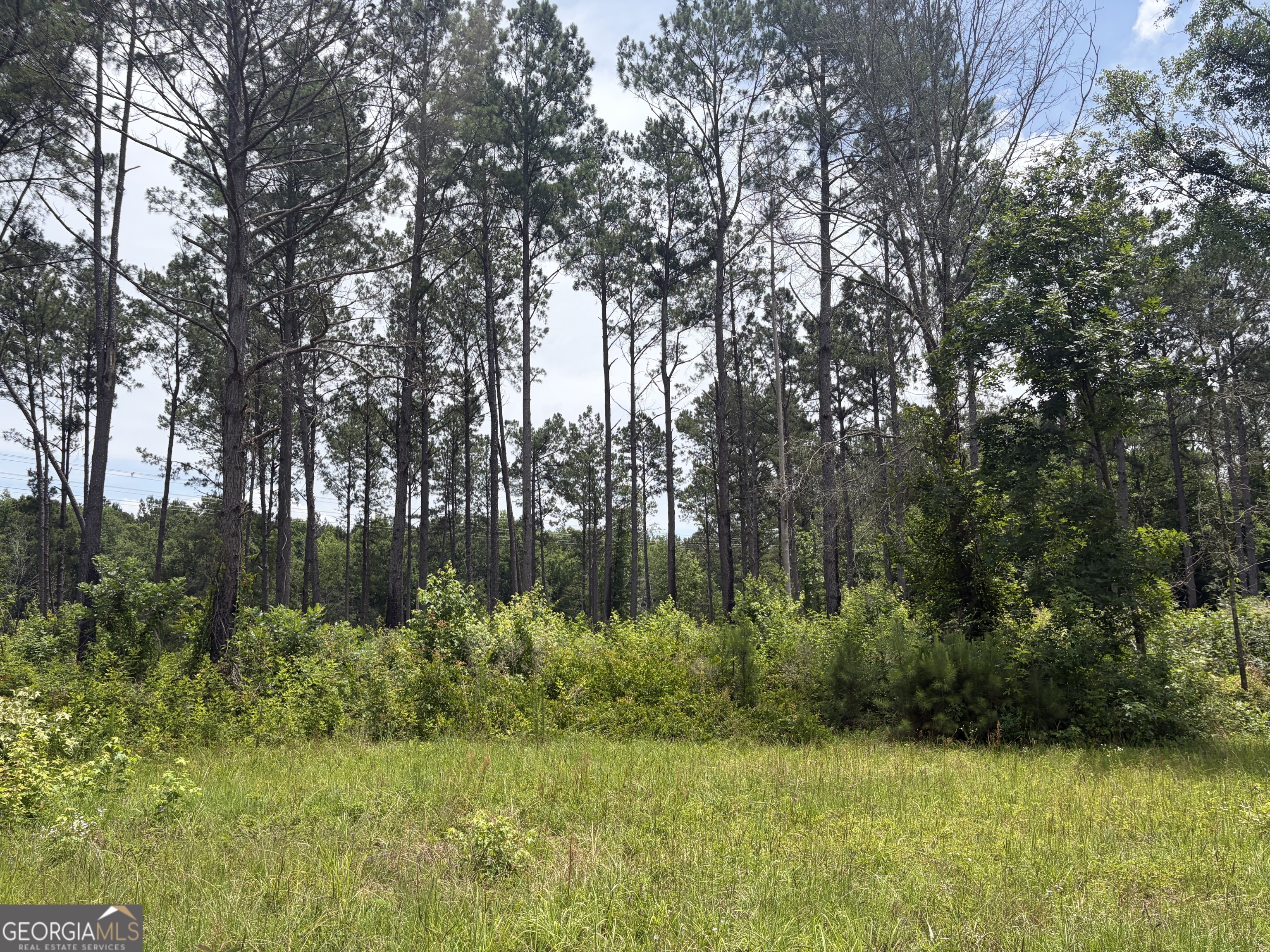 9 Sunhill Grange Road Davisboro GA 31018