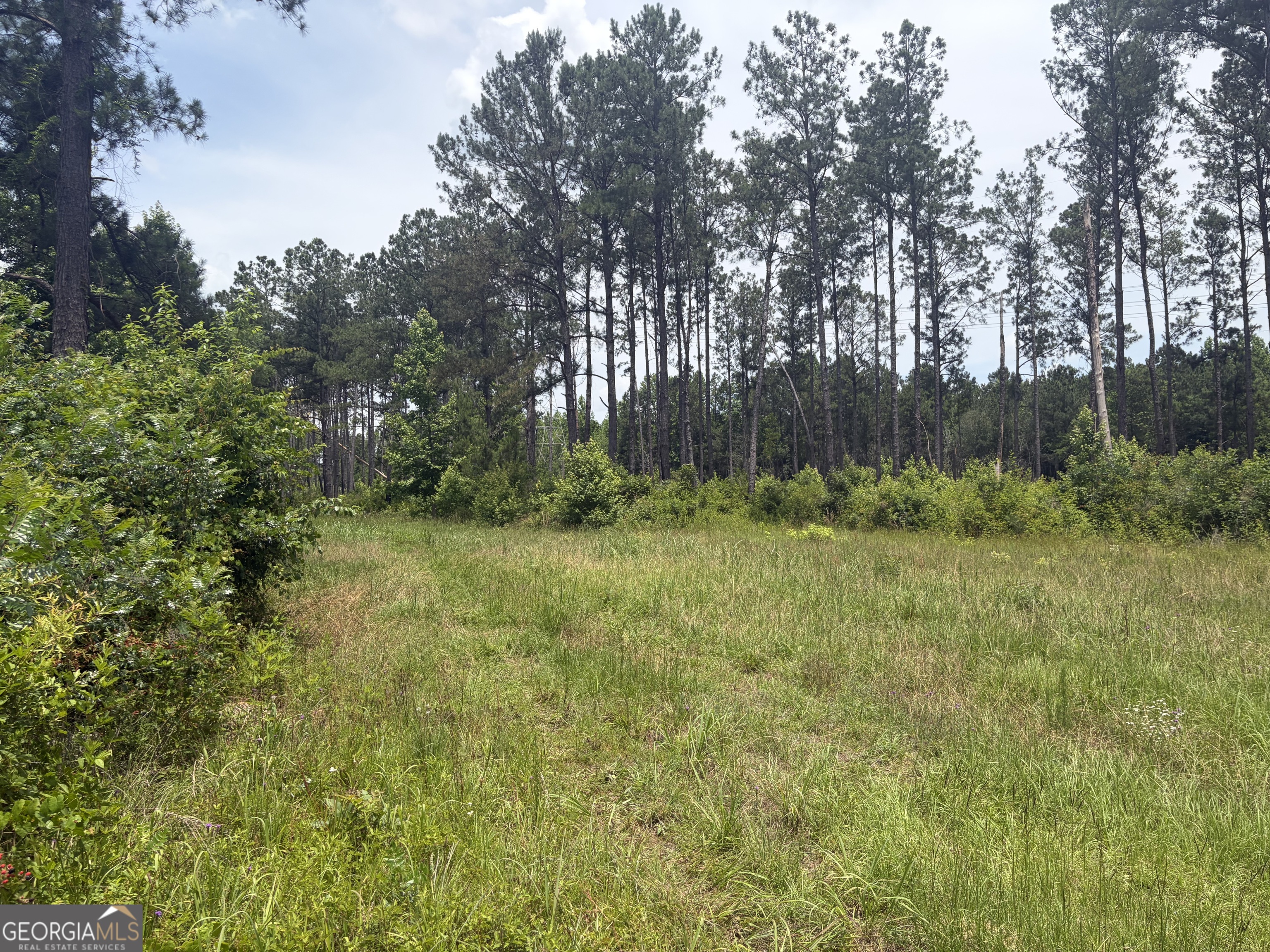 9 Sunhill Grange Road Davisboro GA 31018