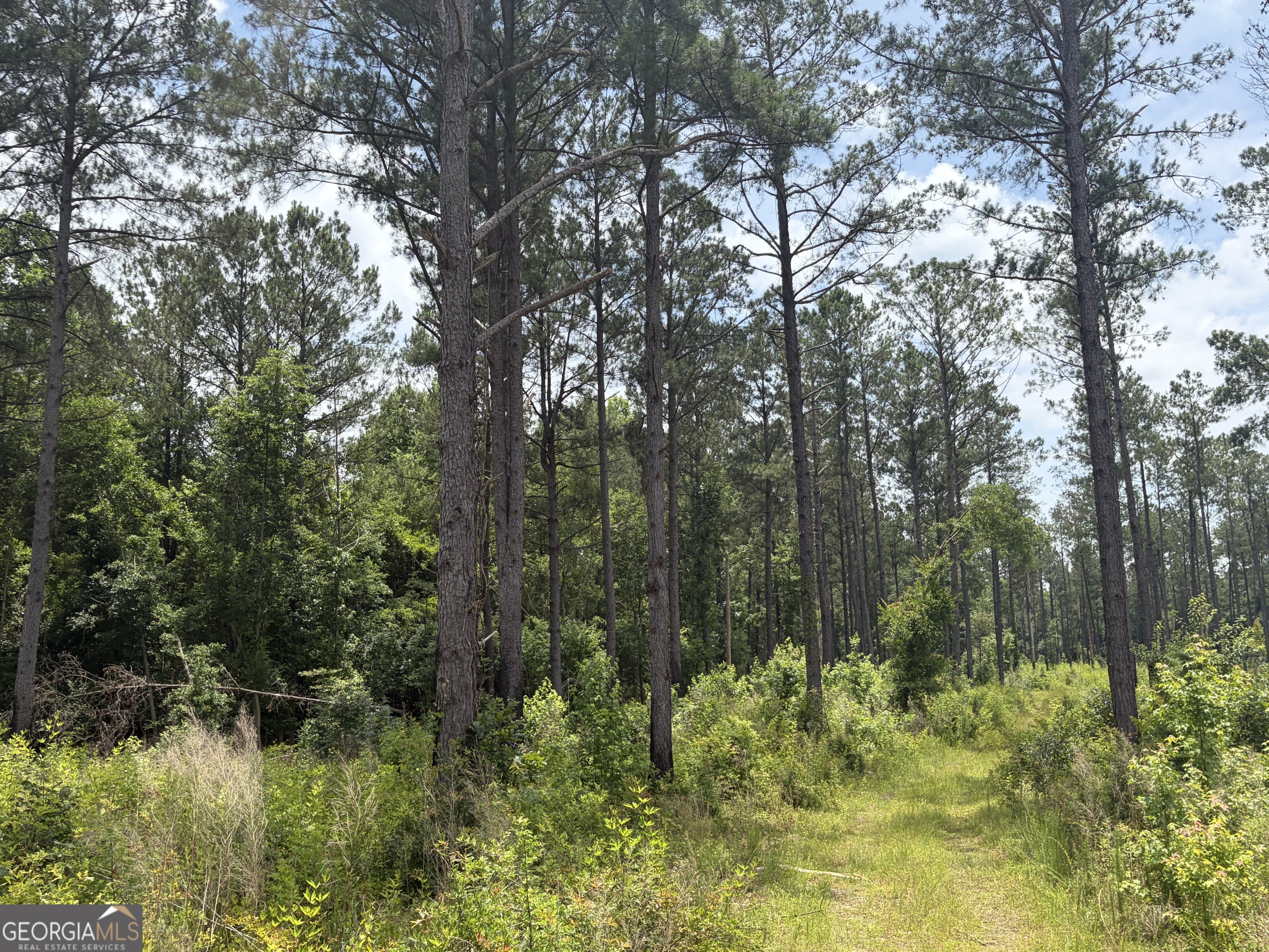 9 Sunhill Grange Road Davisboro GA 31018