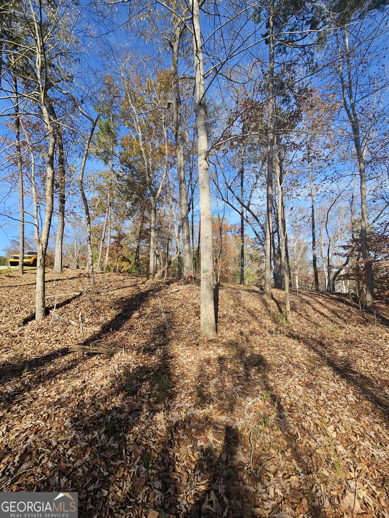 173 Edgewater Trail S Toccoa GA 30577