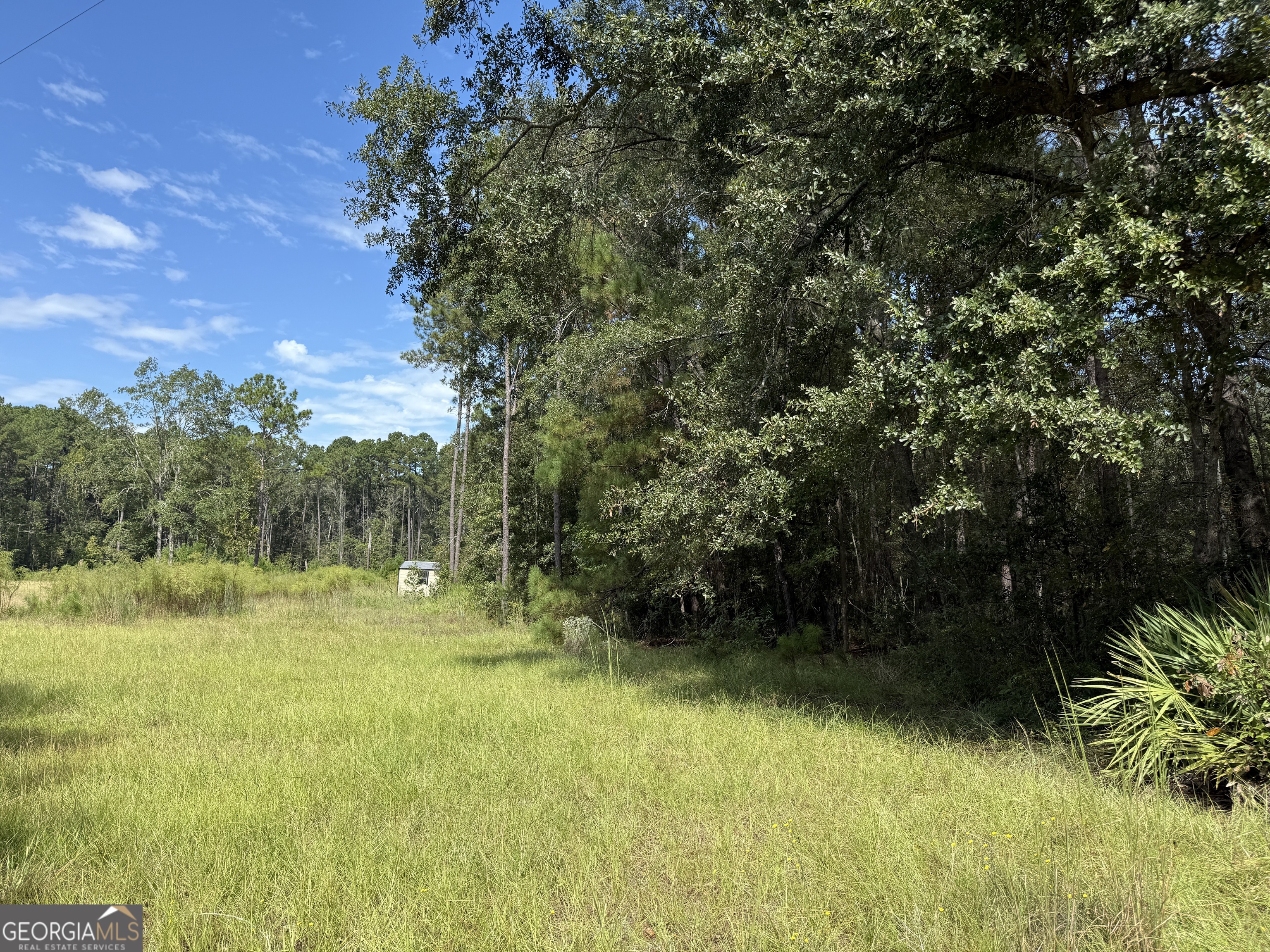 124 Oak Street Rincon GA 31326