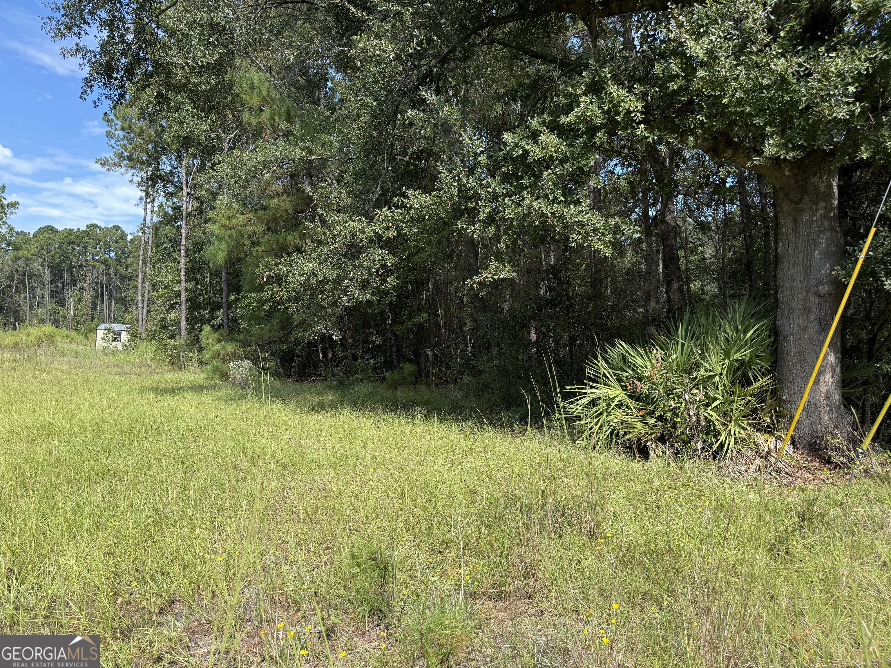 124 Oak Street Rincon GA 31326