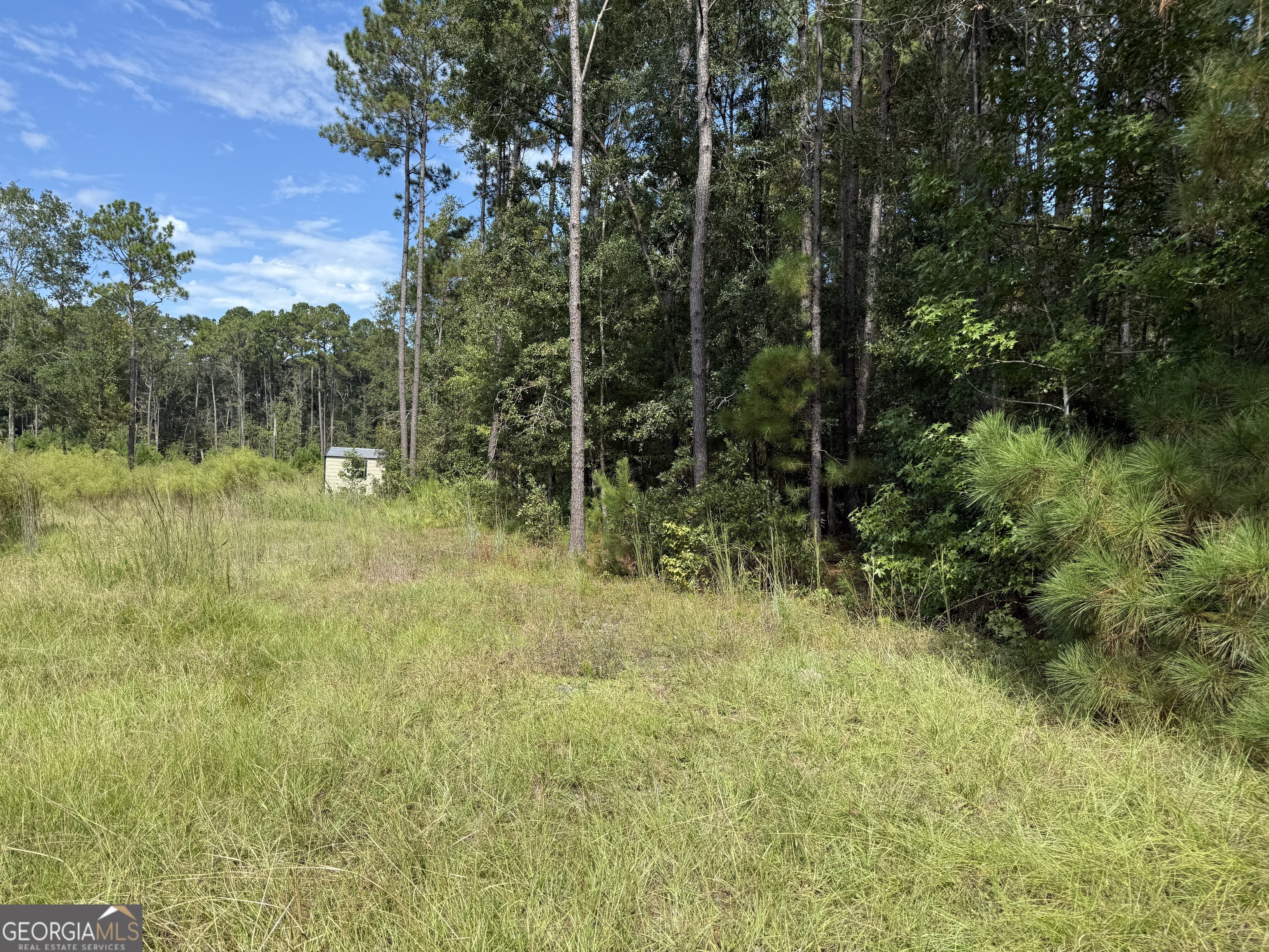 124 Oak Street Rincon GA 31326