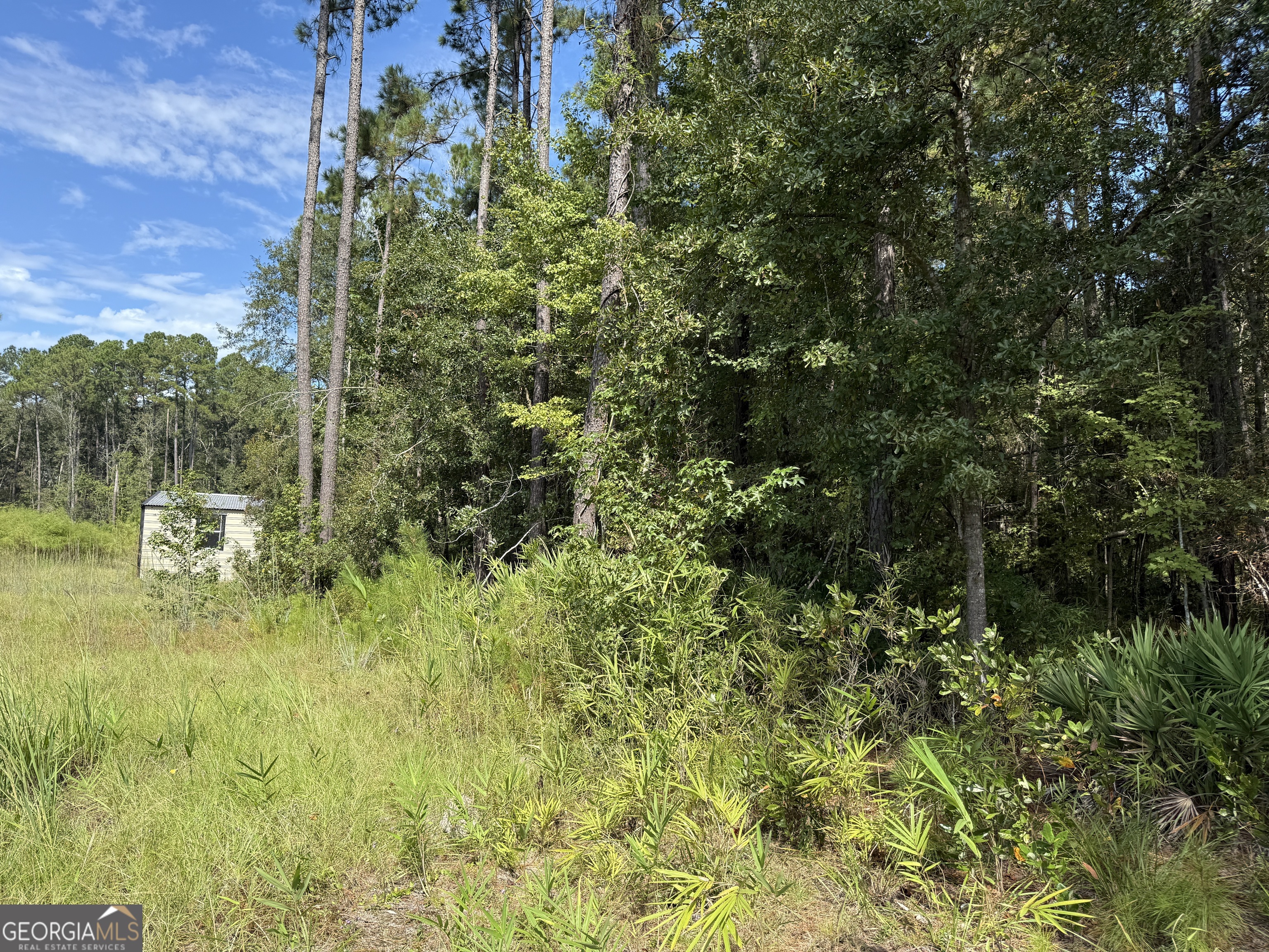 124 Oak Street Rincon GA 31326
