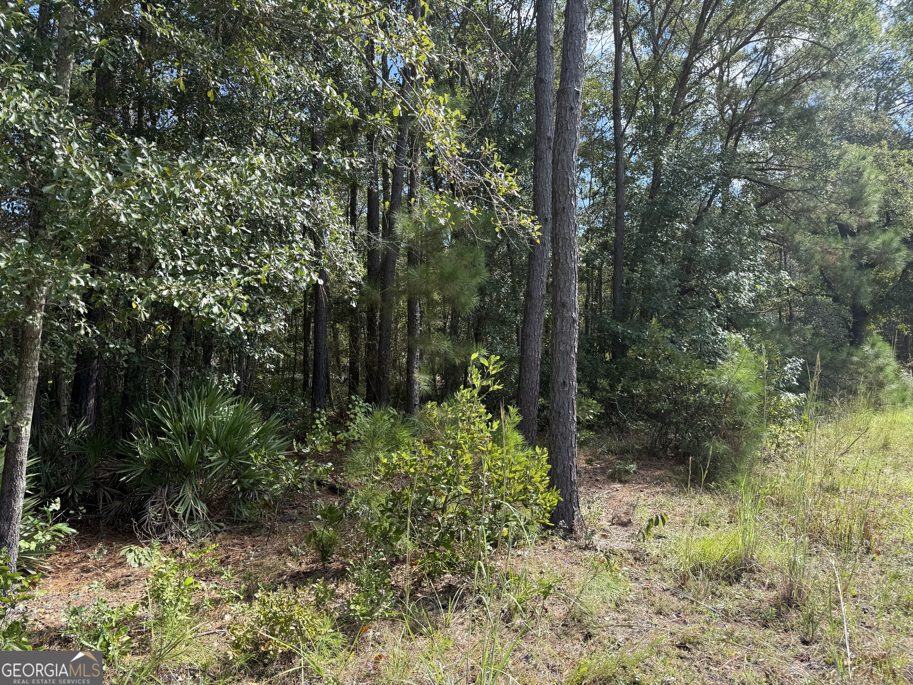 124 Oak Street Rincon GA 31326
