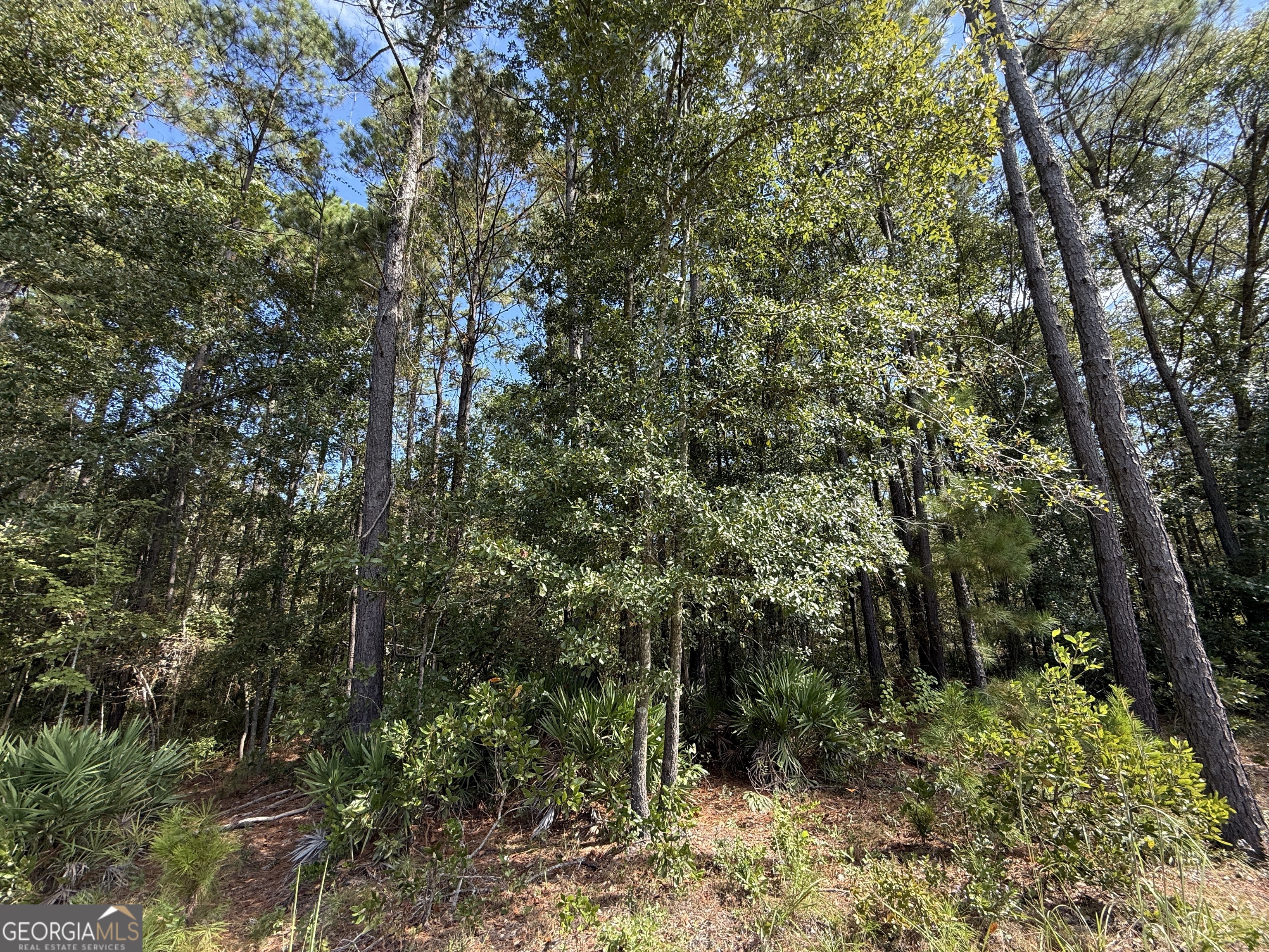 124 Oak Street Rincon GA 31326
