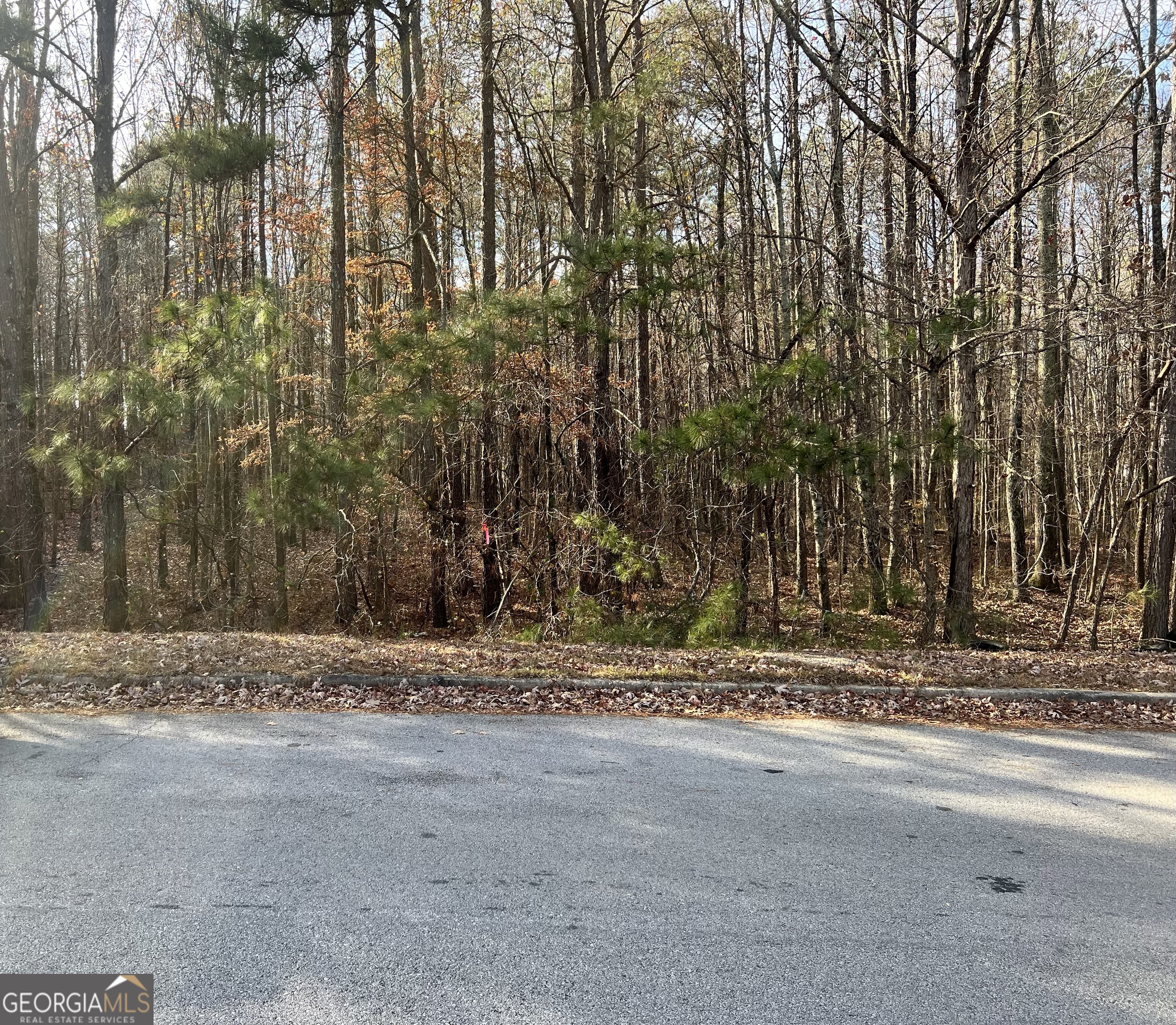 0 Highway 5 Douglasville GA 30135
