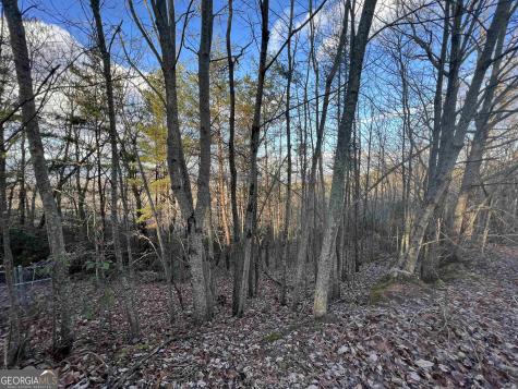 0 Daybreak Road Cleveland GA 30528