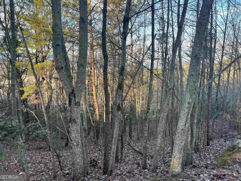0 Daybreak Road Cleveland GA 30528