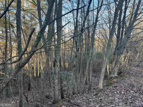 0 Daybreak Road Cleveland GA 30528