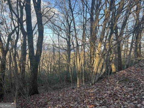 0 Daybreak Road Cleveland GA 30528
