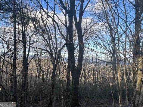 0 Daybreak Road Cleveland GA 30528