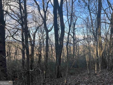 0 Daybreak Road Cleveland GA 30528