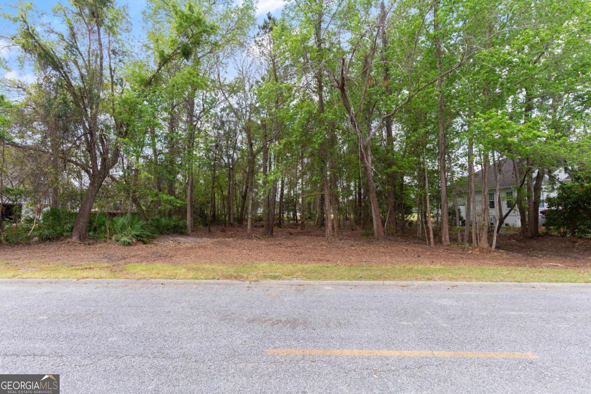 214 Harbor Pointe Drive Brunswick GA 31523