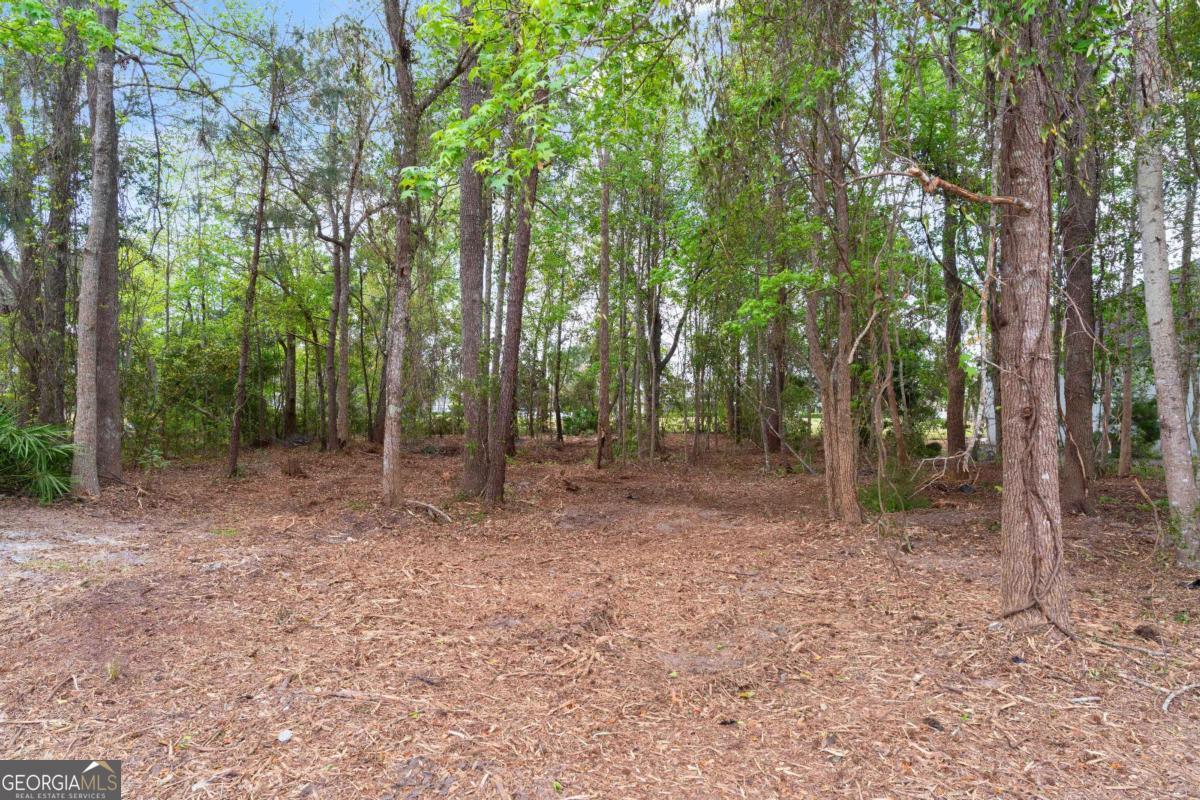 214 Harbor Pointe Drive Brunswick GA 31523
