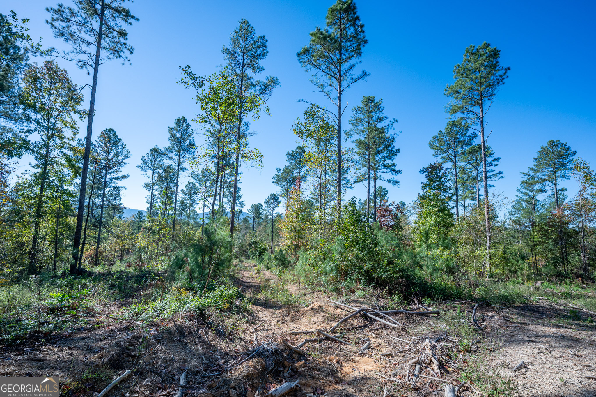 3867 Highway 140 NE Rydal GA 30171
