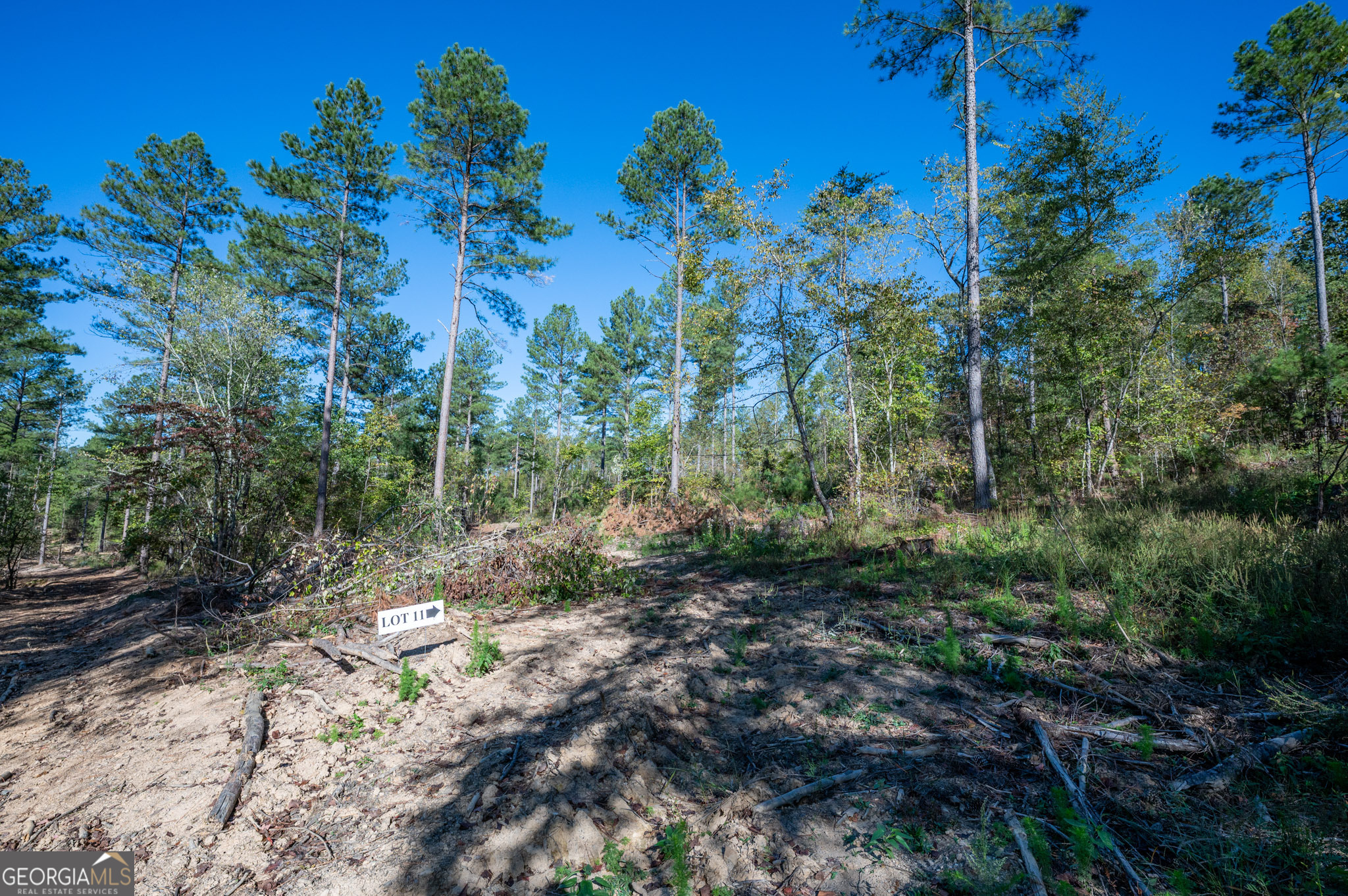 3867 Highway 140 NE Rydal GA 30171
